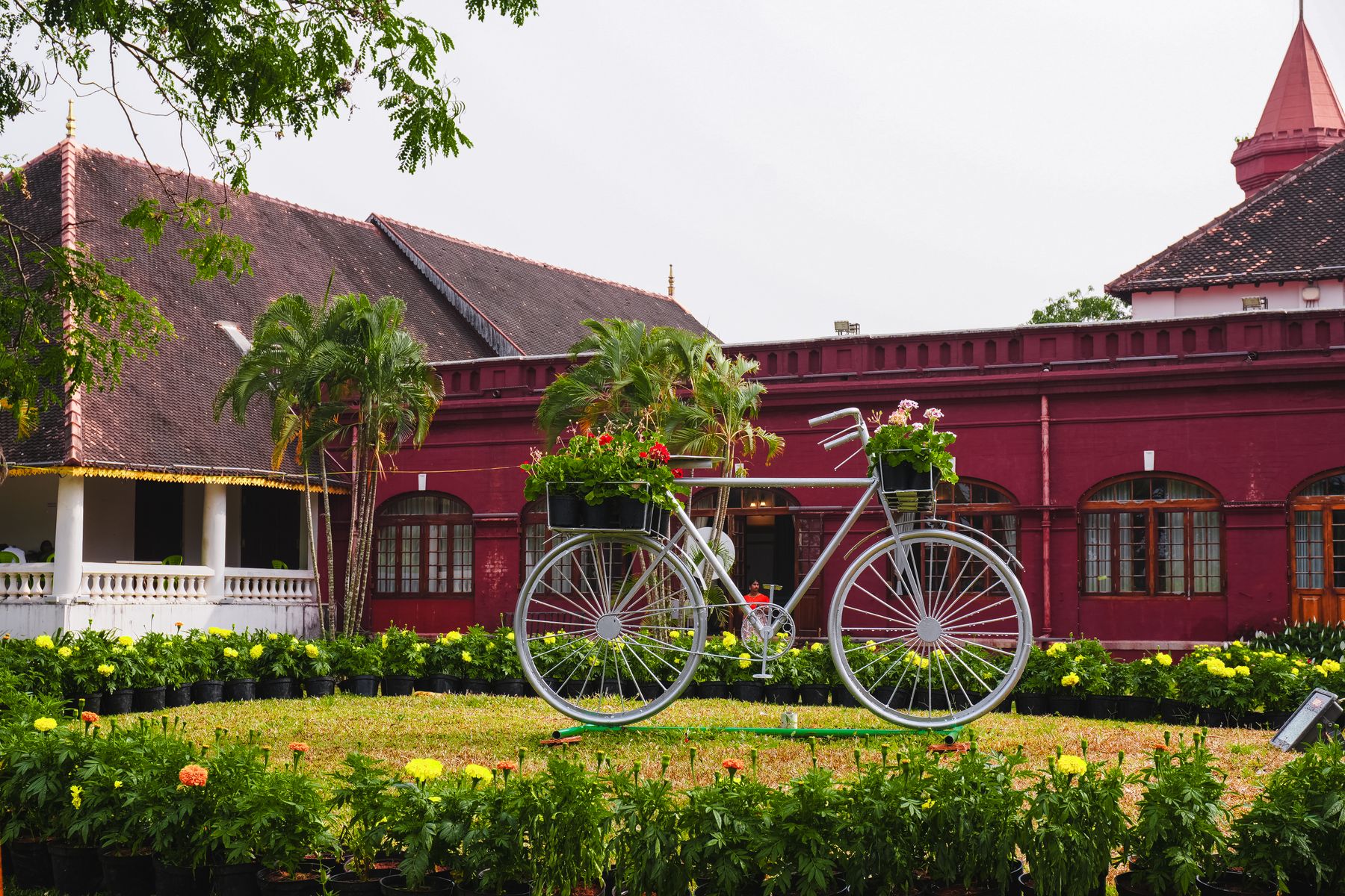 Autumn in Jew Town, Kochi: A Walker's Guide to Mattancherry
