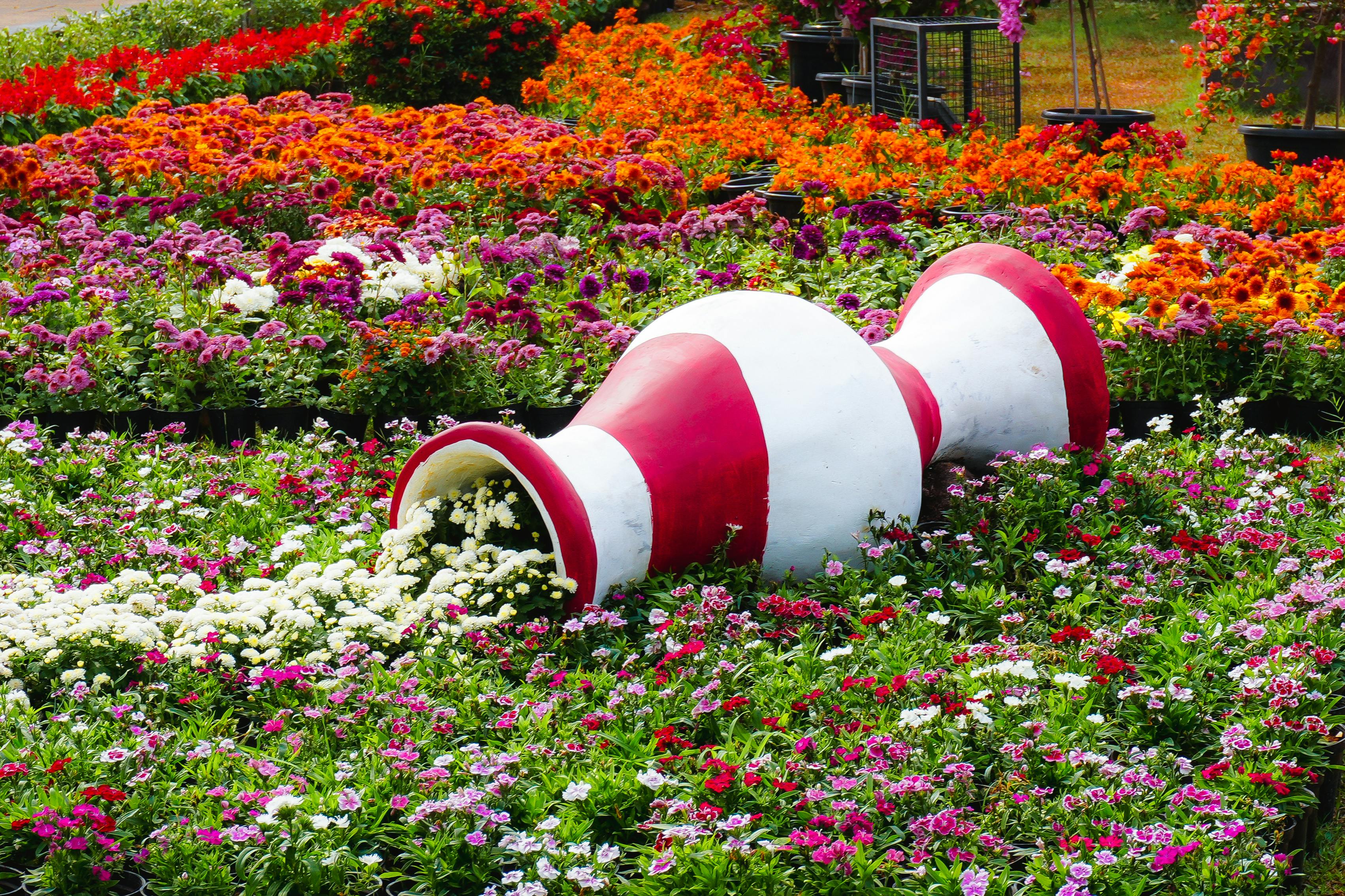 A Landscape Designer’s Favorite Gardening Tools — Photo by Aravind P.S on Pexels
