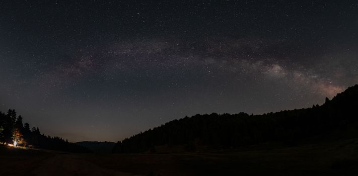 Kosmisches Wald & Nacht – Faszinierende Weltraum-Wallpaper