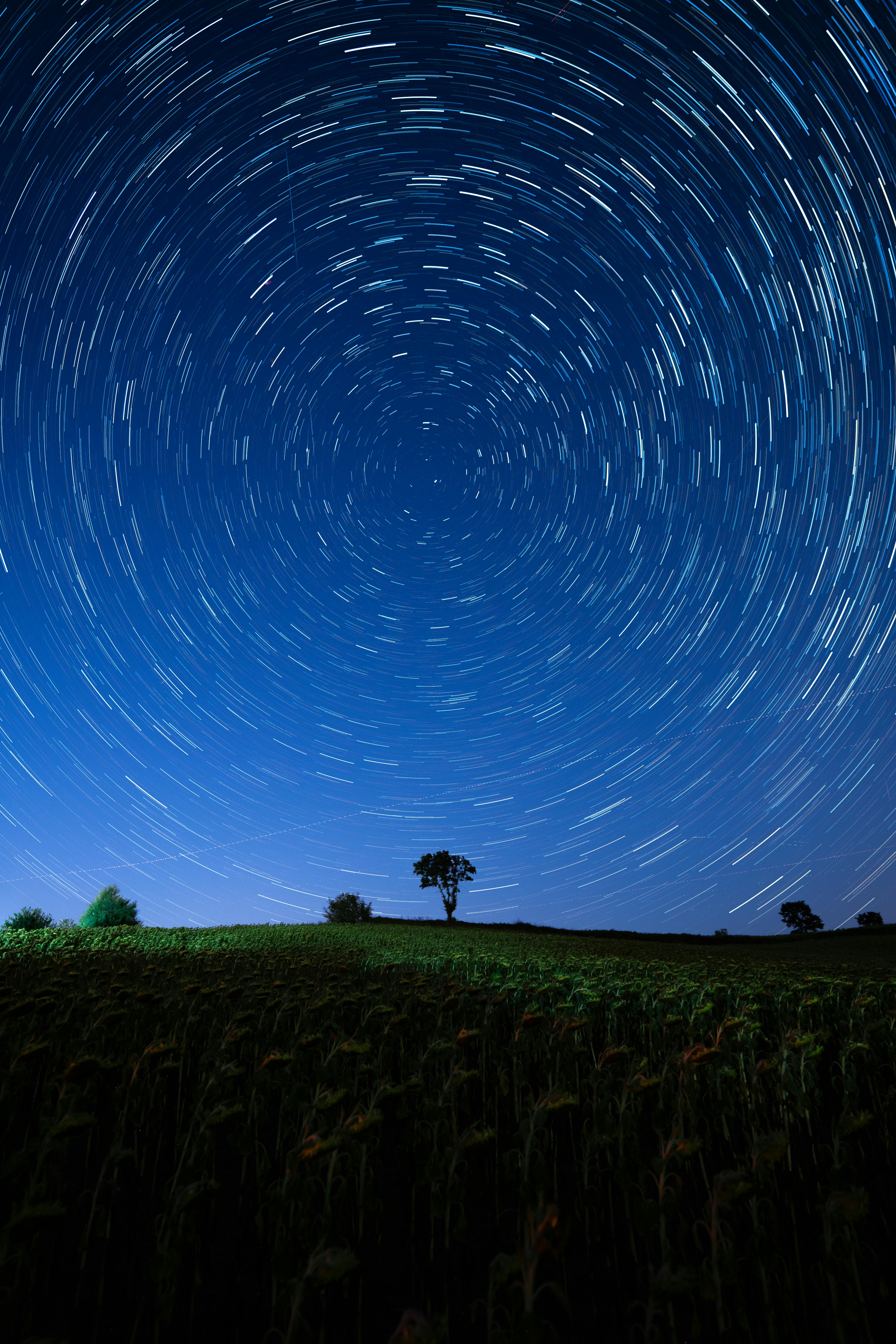 Captivating long exposure of star trails across a night sky above a pastoral field.