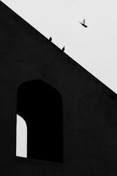 Silhouetted birds perched on building with a bird in flight.