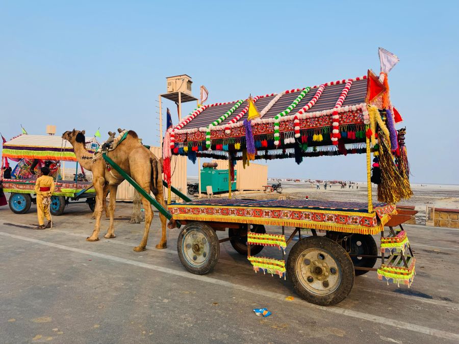 Mandvi Beach (Kutch) photo 3