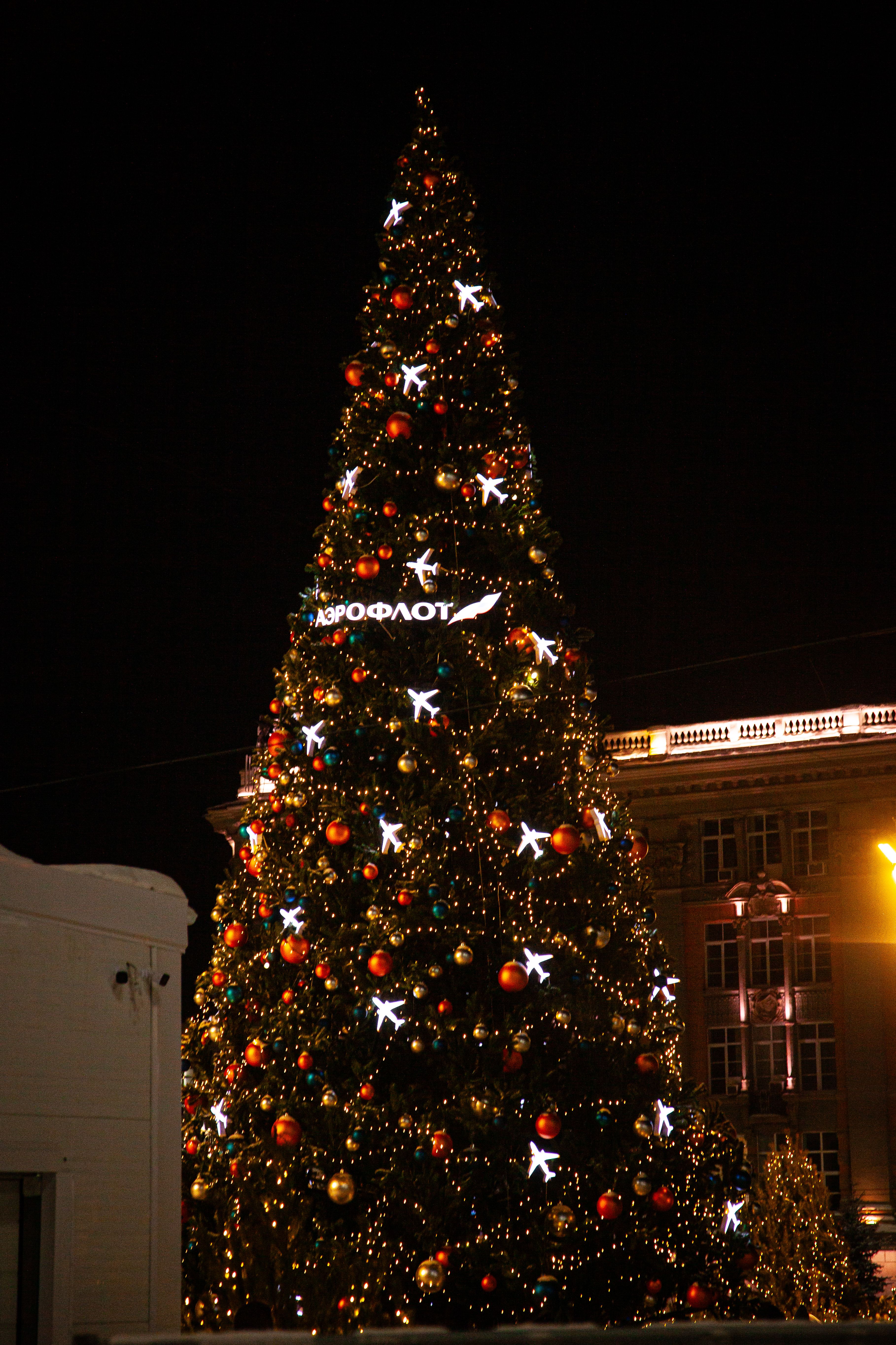Illuminated Christmas Tree at Night with Decorations · Free Stock Photo