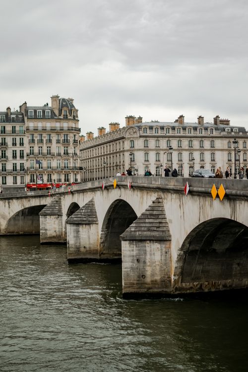 Free Elegant architecture and bridge over the Seine River in Paris, France. Stock Photo