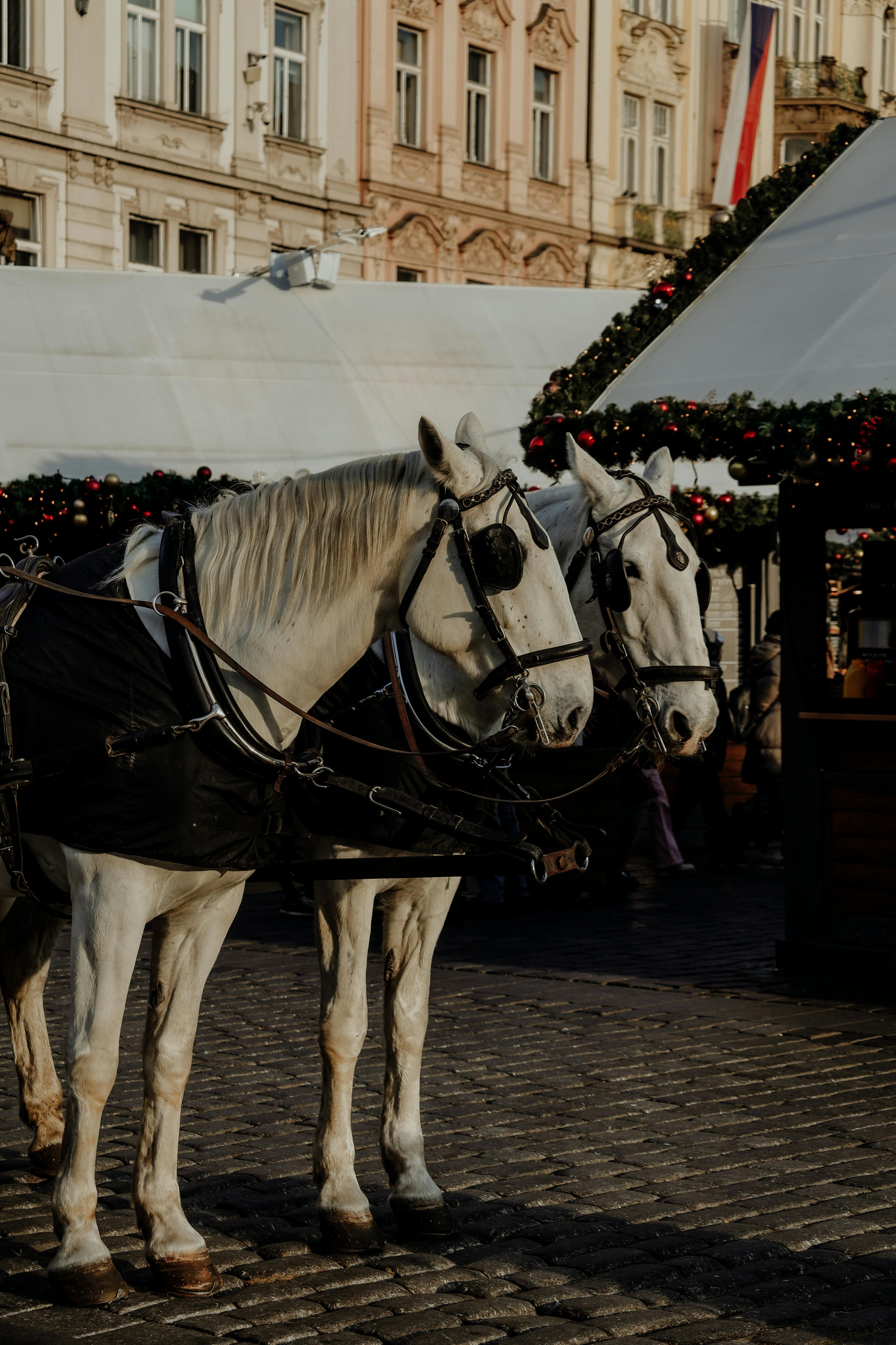 Only Fools And Horses