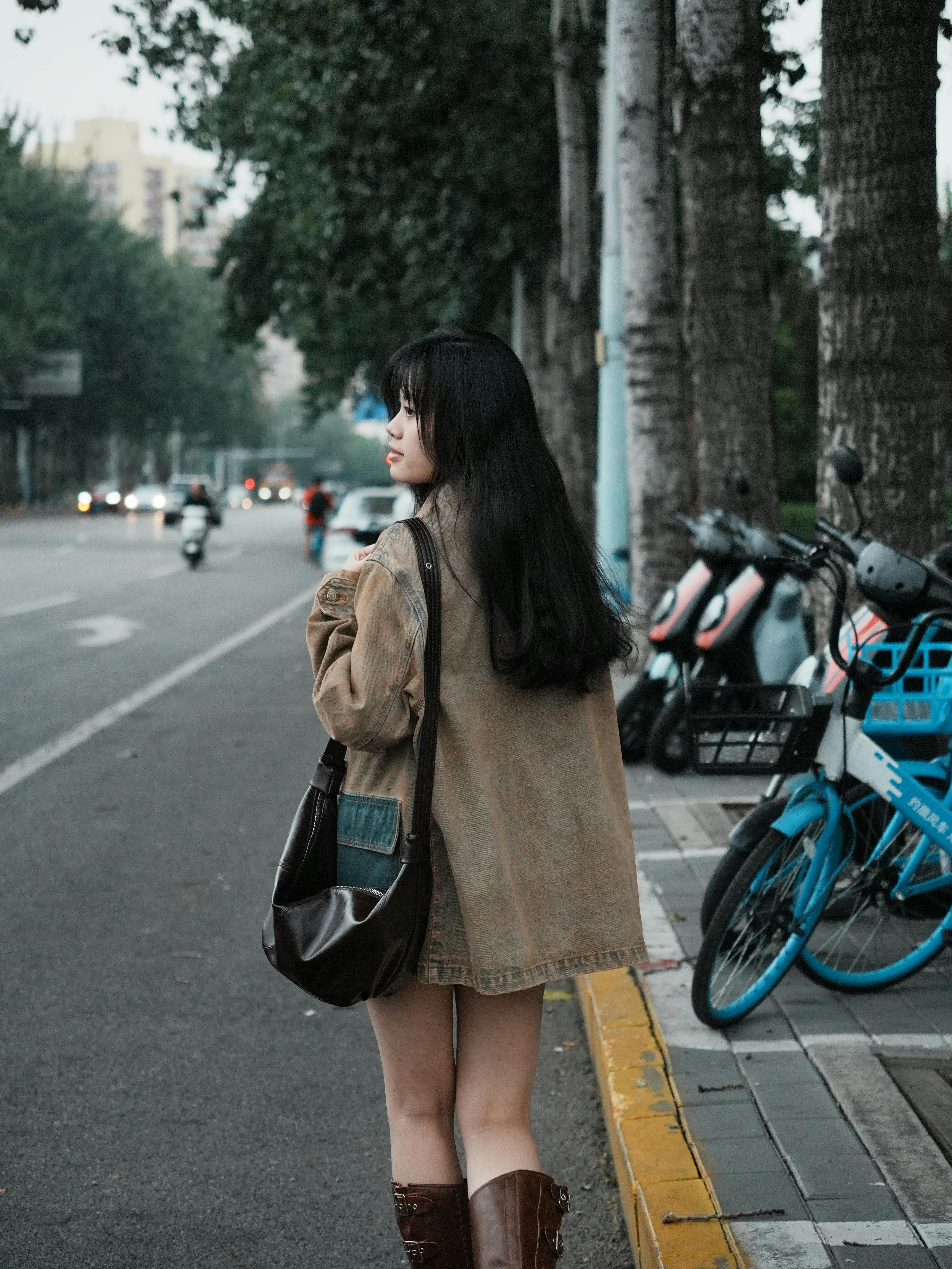 Gratis Fotos de stock gratuitas de acera, al aire libre, arboles Foto de stock