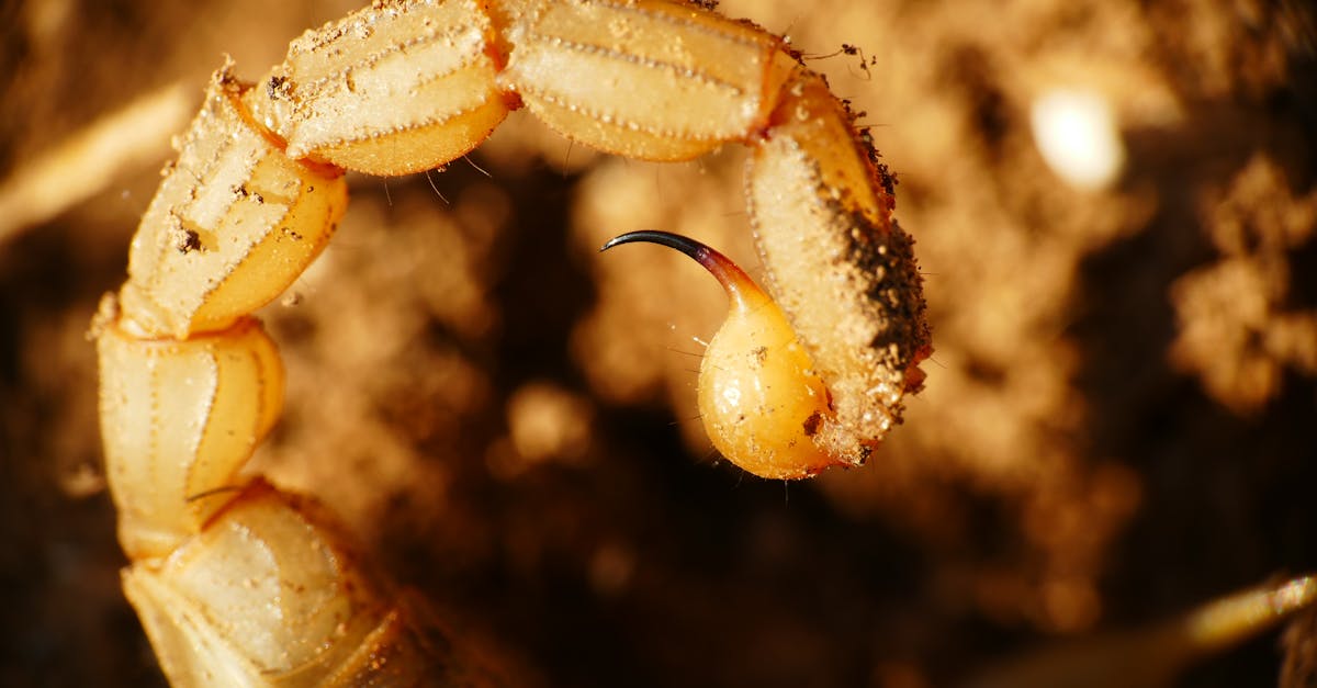 美國國防部高層訪問韓國,推動最新國防戰略部署
