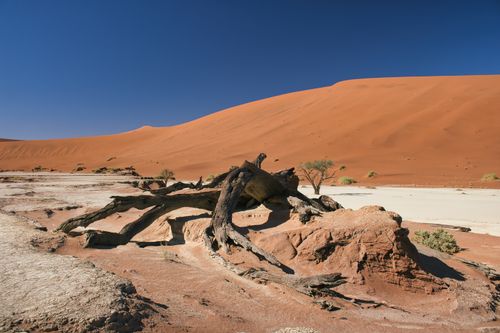 Free Stunning view of Sossusvlei desert with dramatic red dunes and dead tree in Namibia. Stock Photo