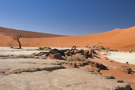 Sossusvlei, Namibia photo 3