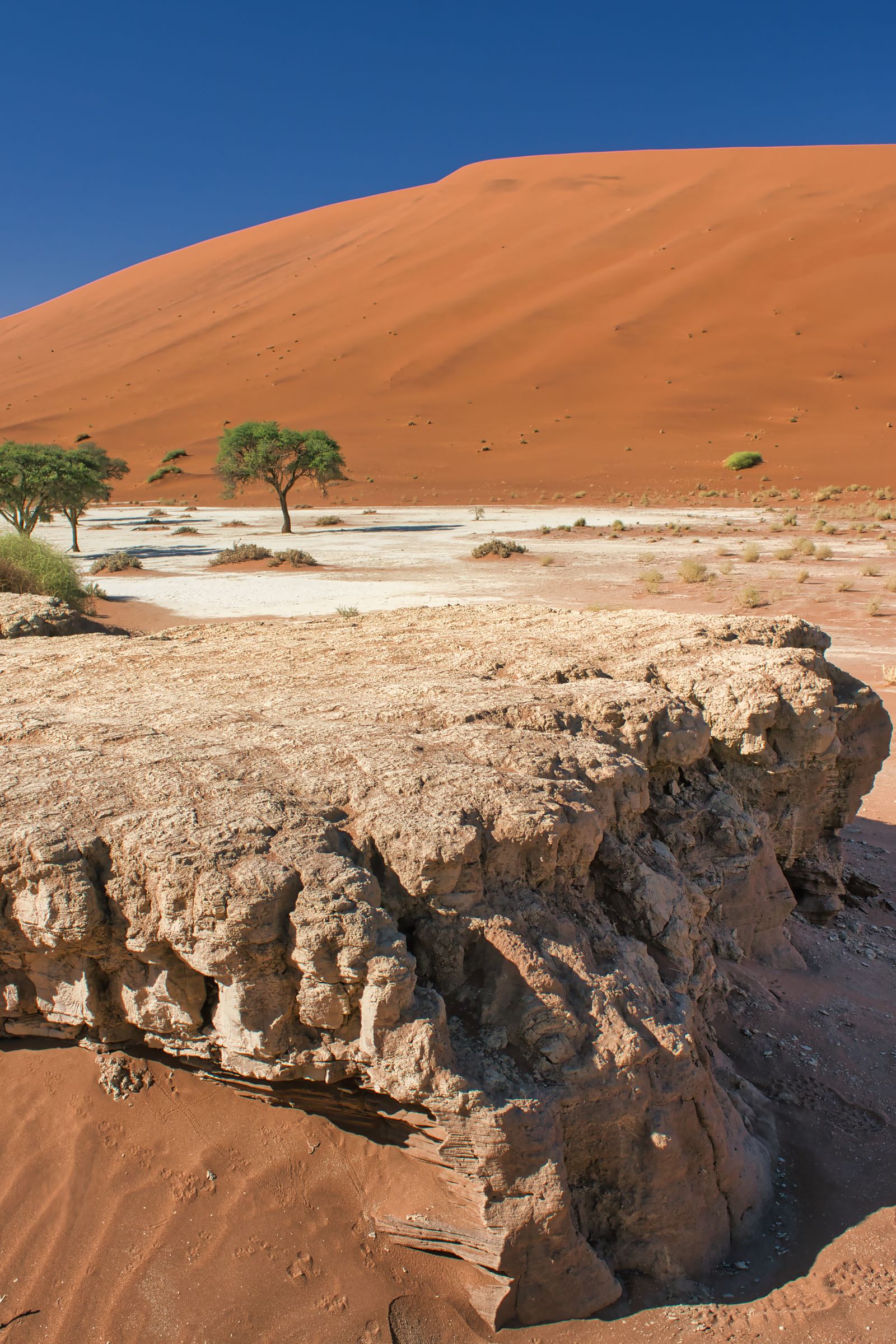 Sossusvlei desert dunes in Namibia