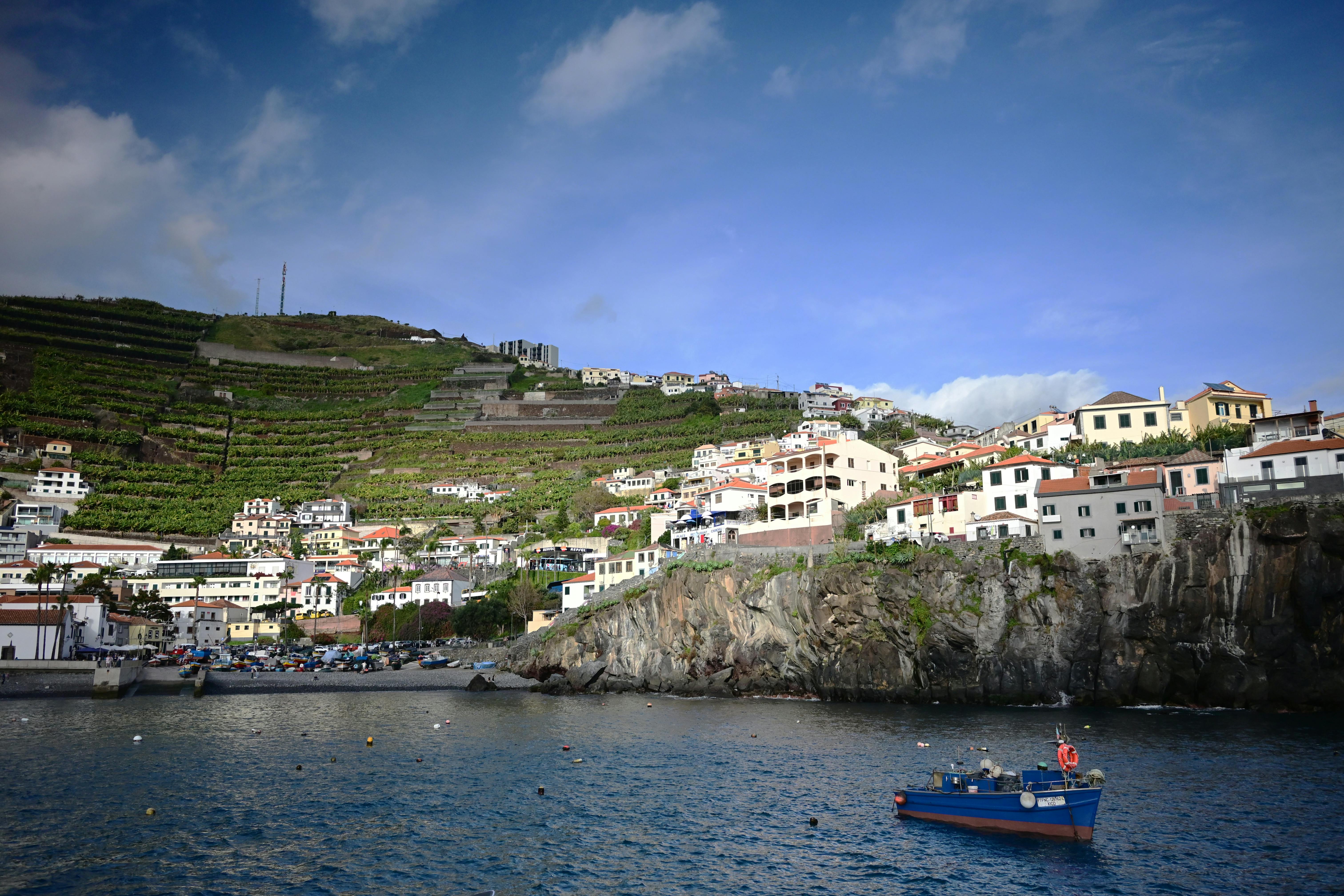 Madeira coastal village with terraced vineyards