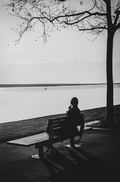 Free A serene black and white capture of a person sitting on a bench by a tranquil lake, enjoying solitude. Stock Photo