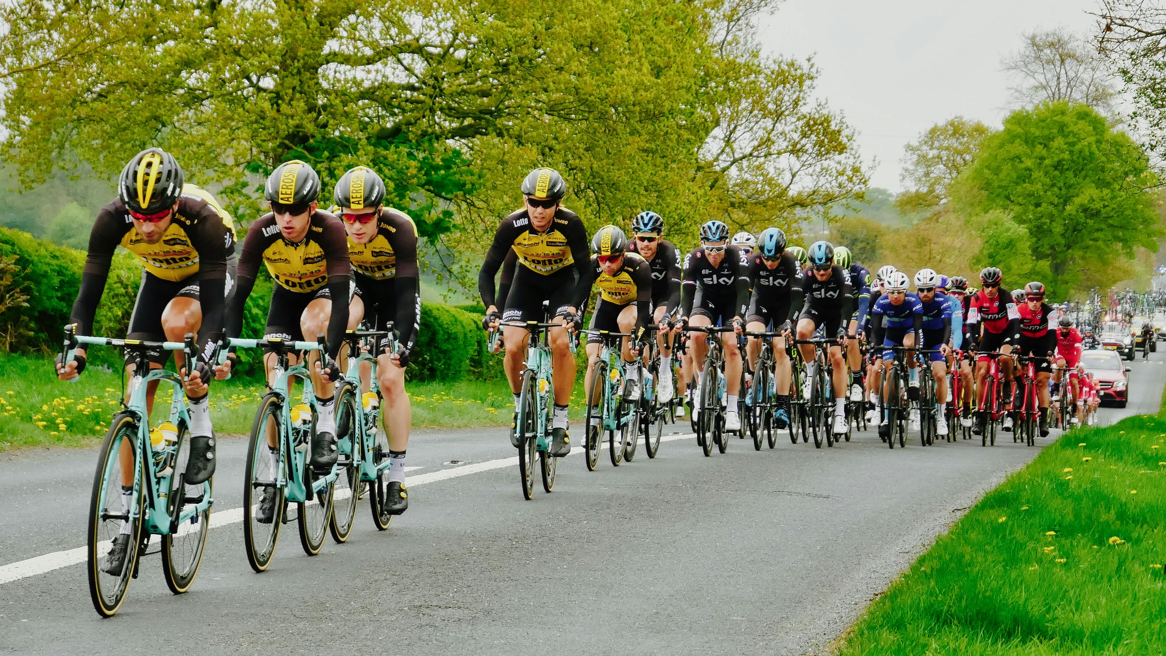 The Future of Digital Innovation