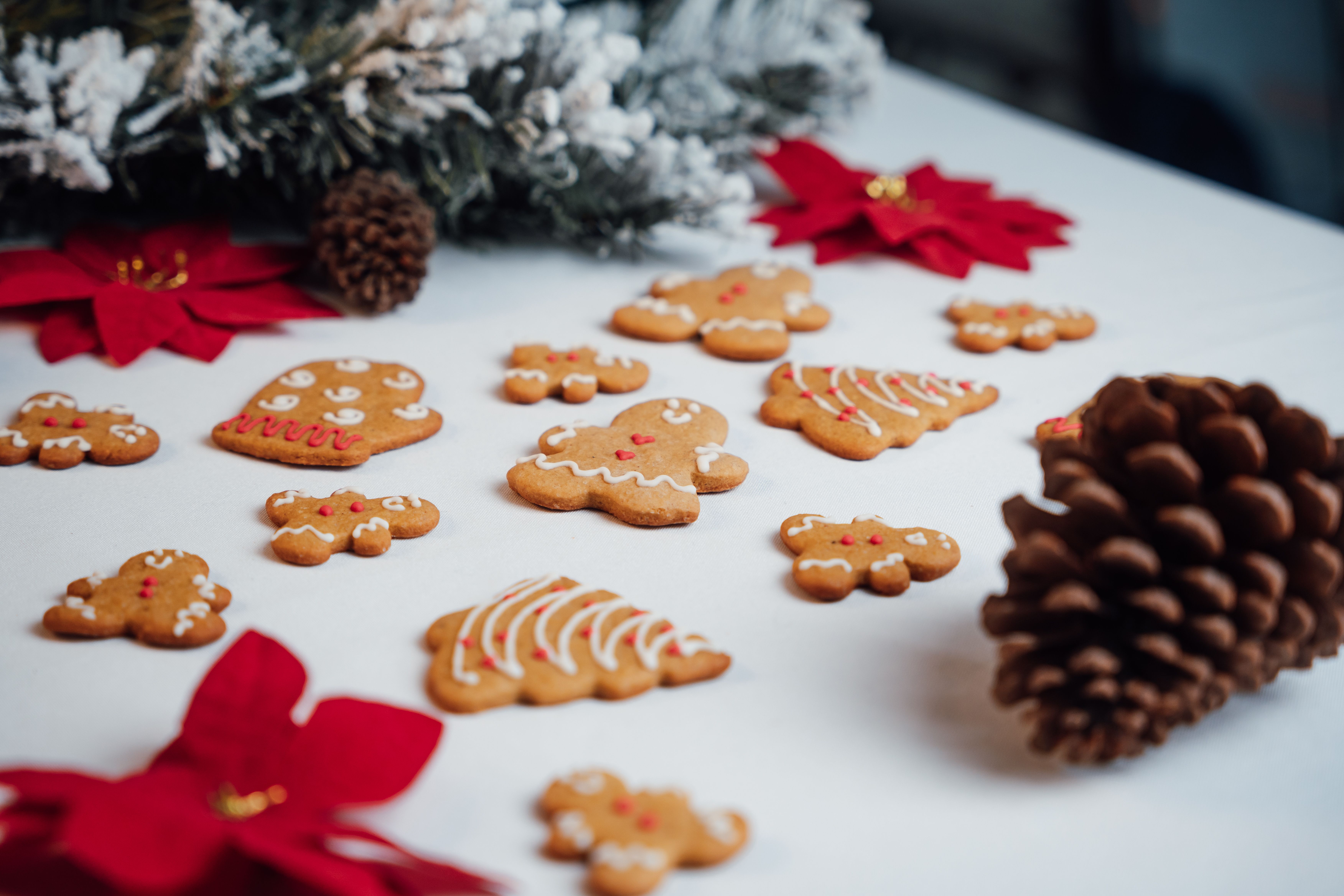 Christmas Feels Photos Download The Best Free Christmas Feels Stock