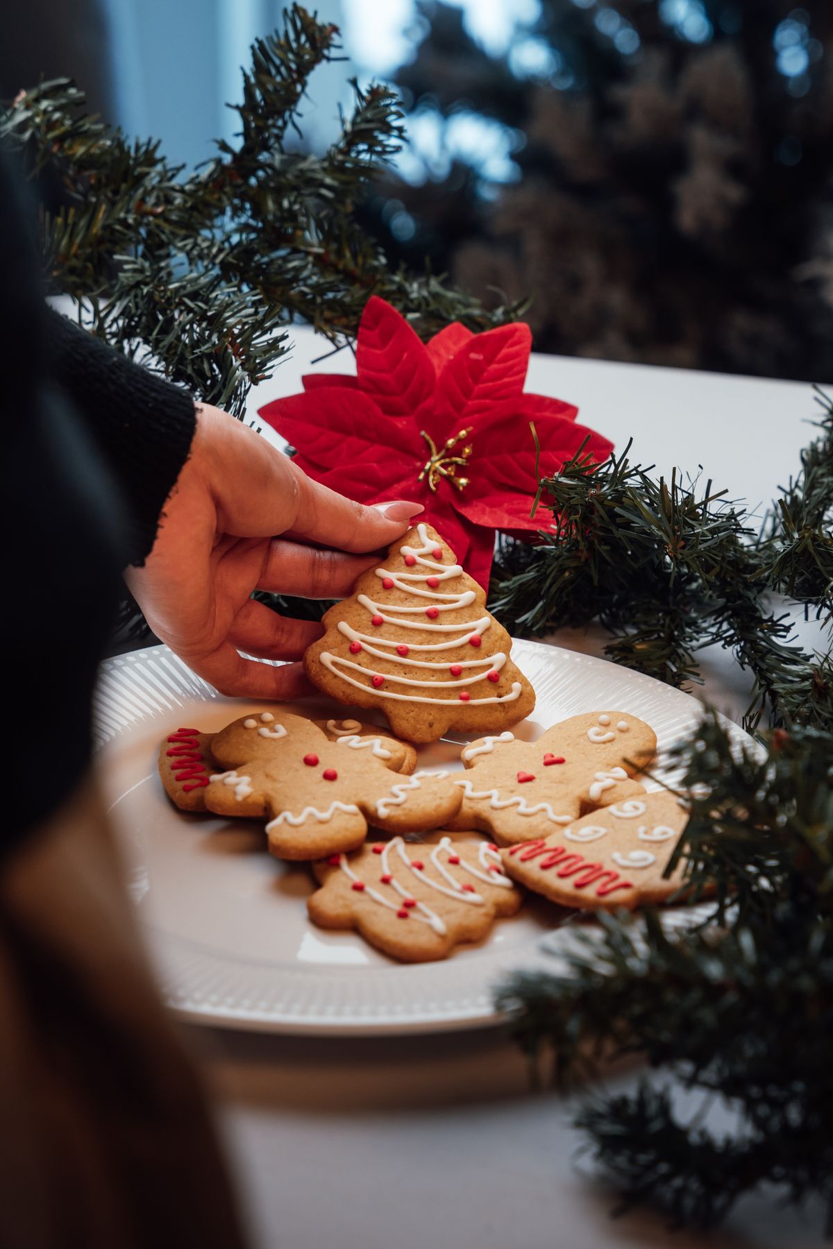 Hand placing an iced Christmas tree cookie onto a plate of gingerbread men beside a red poinsettia