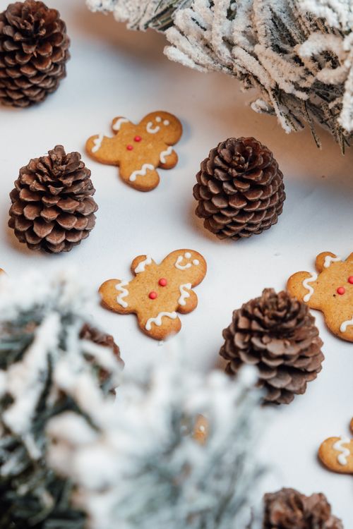 Free Gingerbread cookies and pine cones on a snowy background create a charming winter scene. Stock Photo