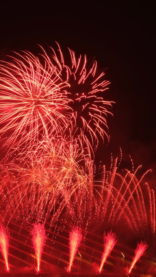 Free A vibrant fireworks display lights up the night sky in Rotterdam, showcasing dazzling red fireworks in celebration. Stock Photo