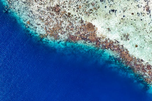 印度尼西亚海岸的空中海景令人惊叹，展现出充满活力的蓝色海水和珊瑚礁