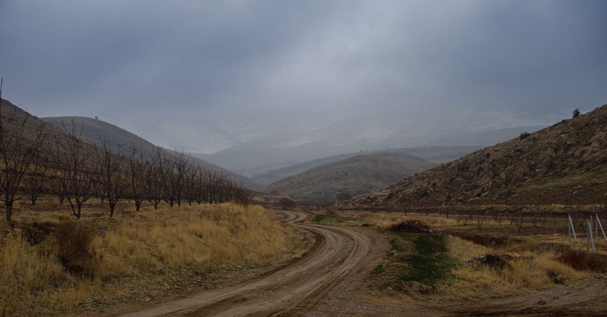 Explore the tranquility of autumn with a winding dirt road through barren hills and leafless trees, under a cloudy sky.