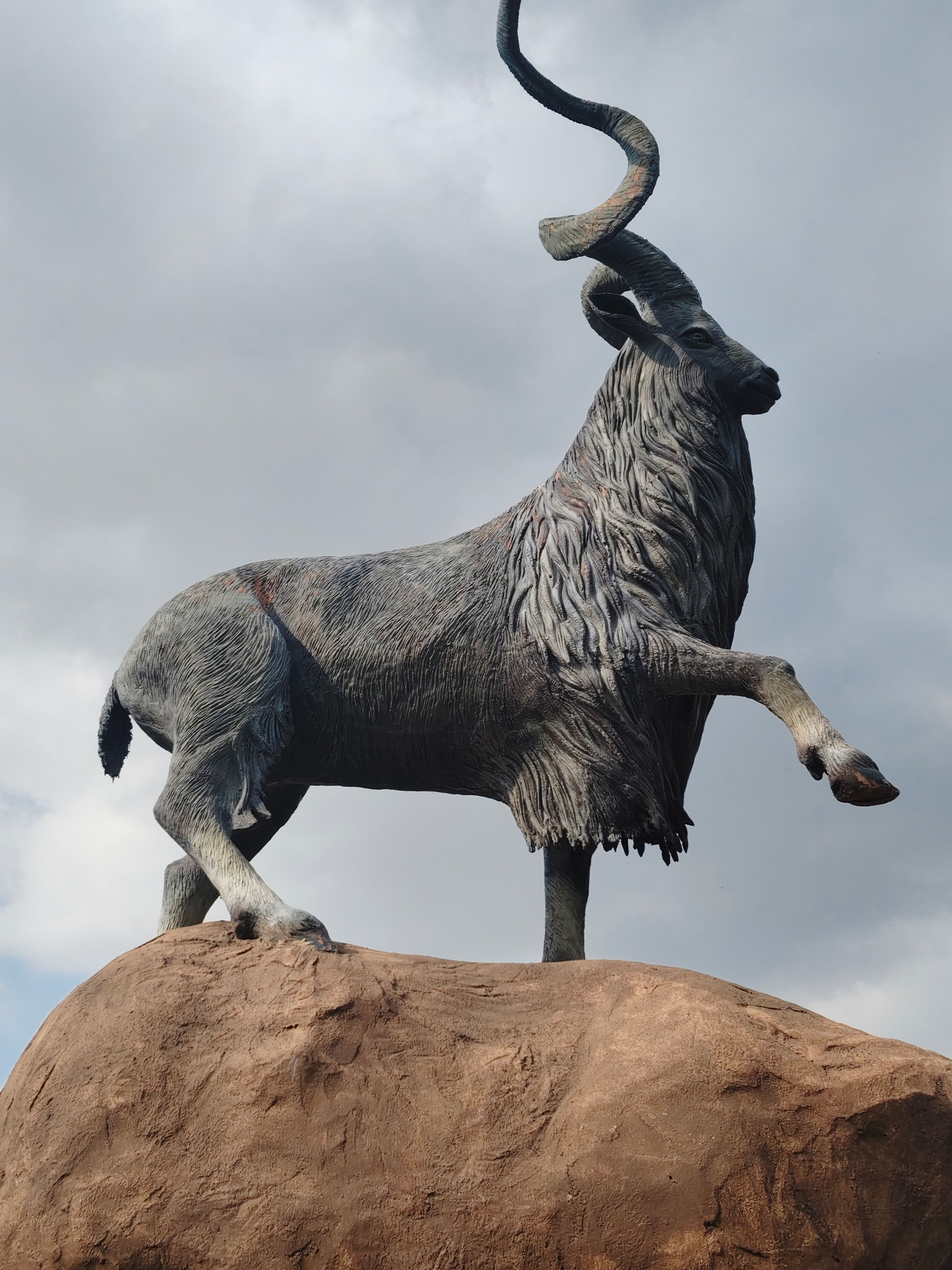 Statue of a Majestic Markhor on Rock · Free Stock Photo