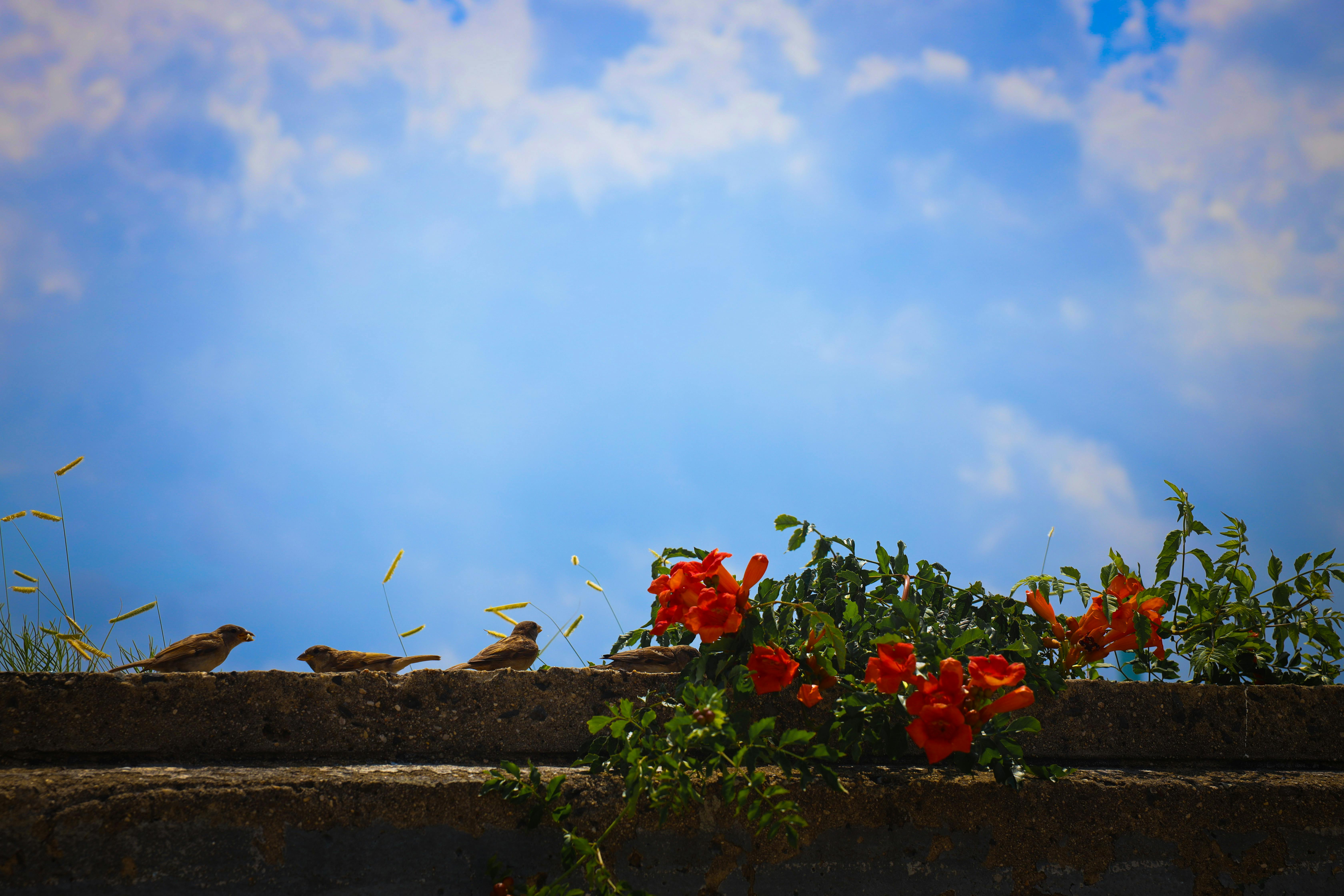 The Changing Landscape: Why 6G Matters