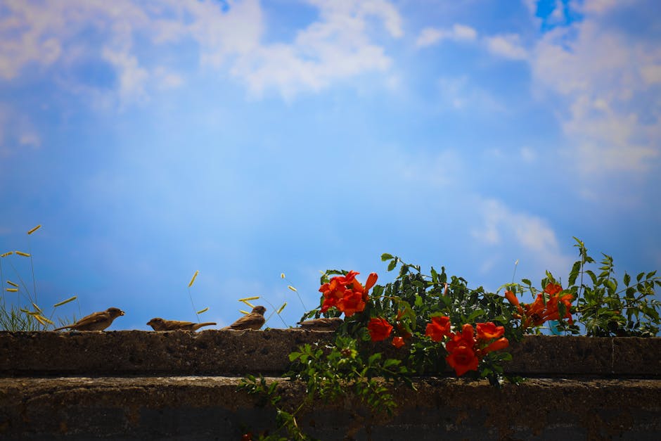 The Changing Landscape: Why 6G Matters