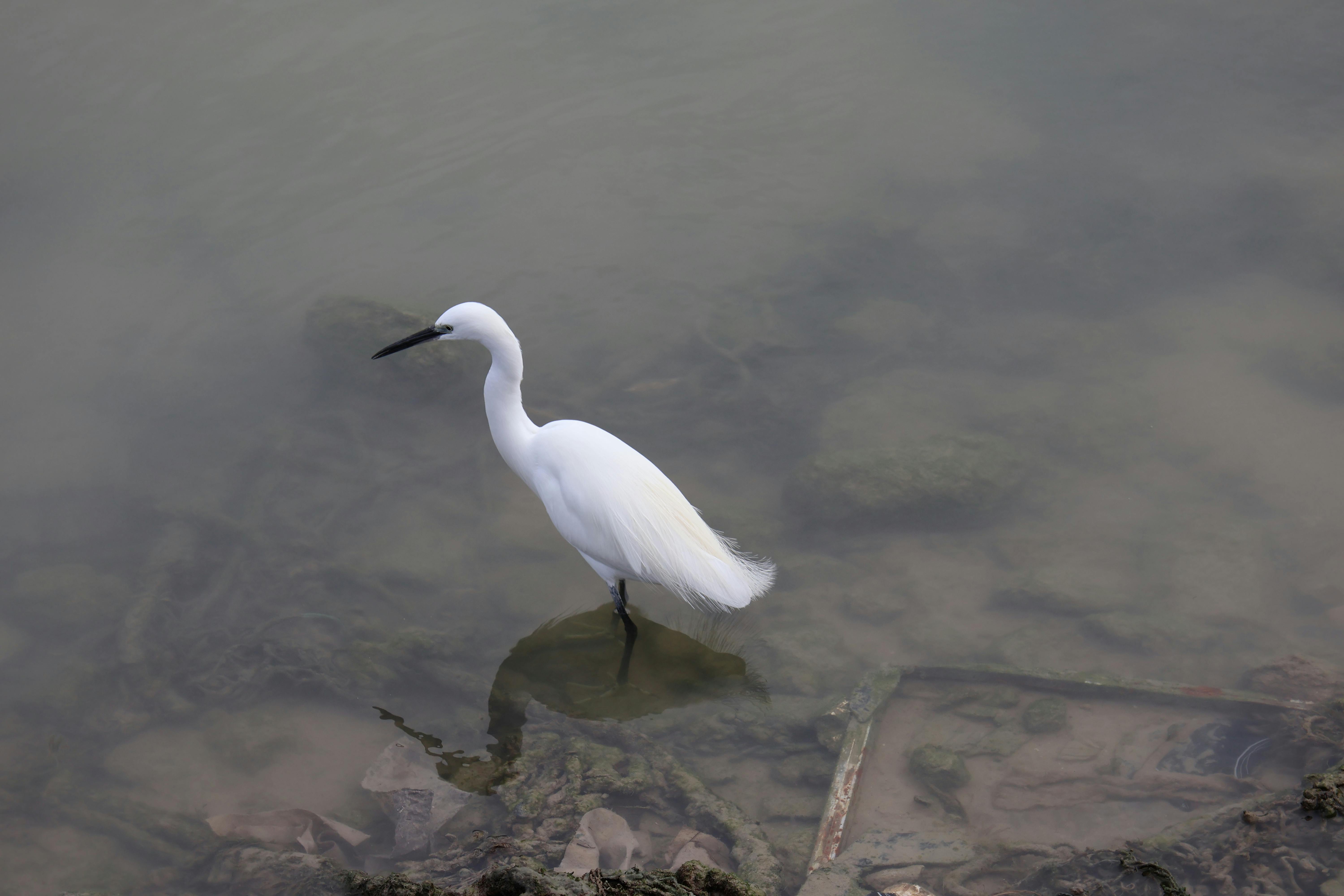 Vue panoramique d'Ibiza