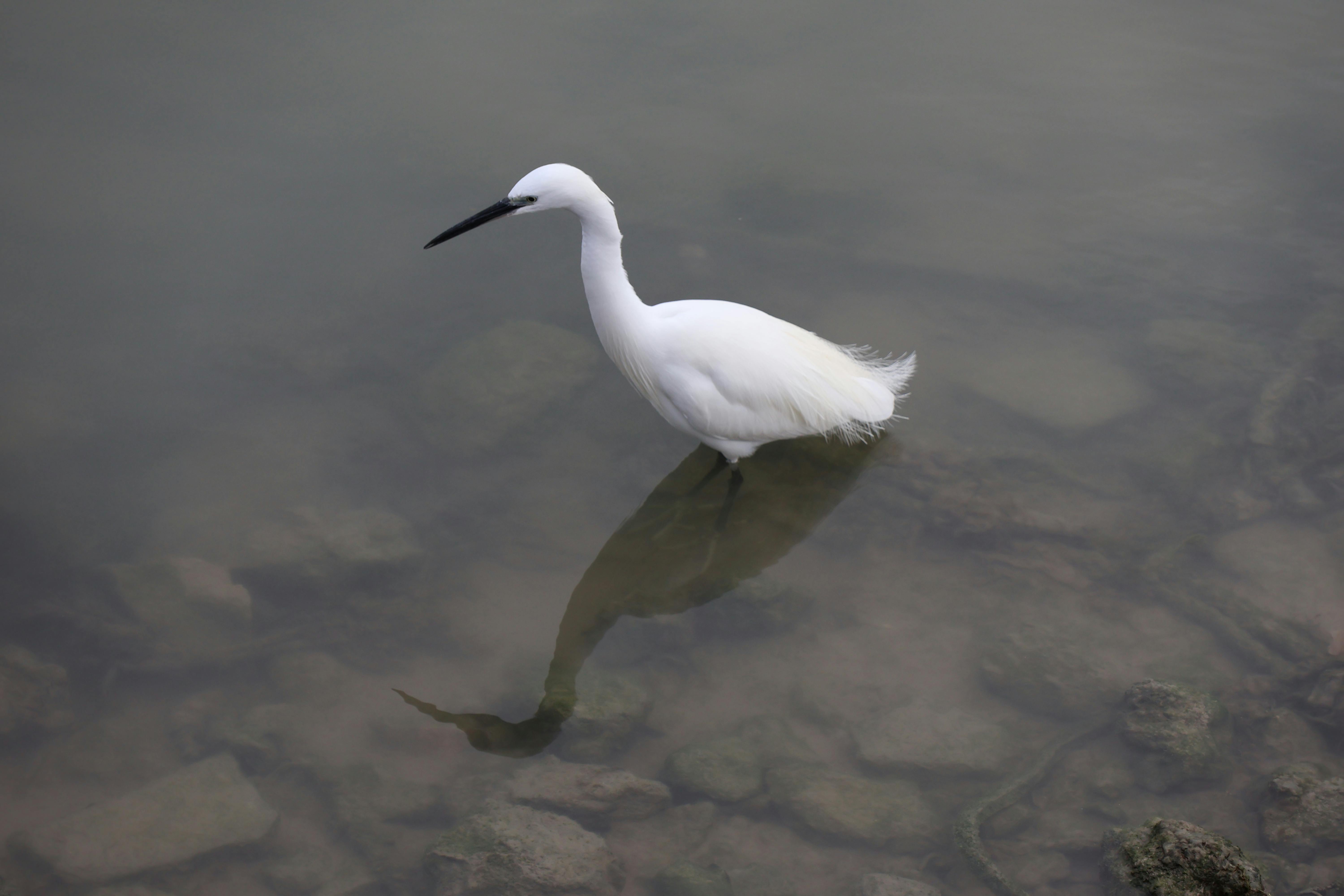 Long Lasting Fragrance Secrets: Enhance Your Scent Longevity