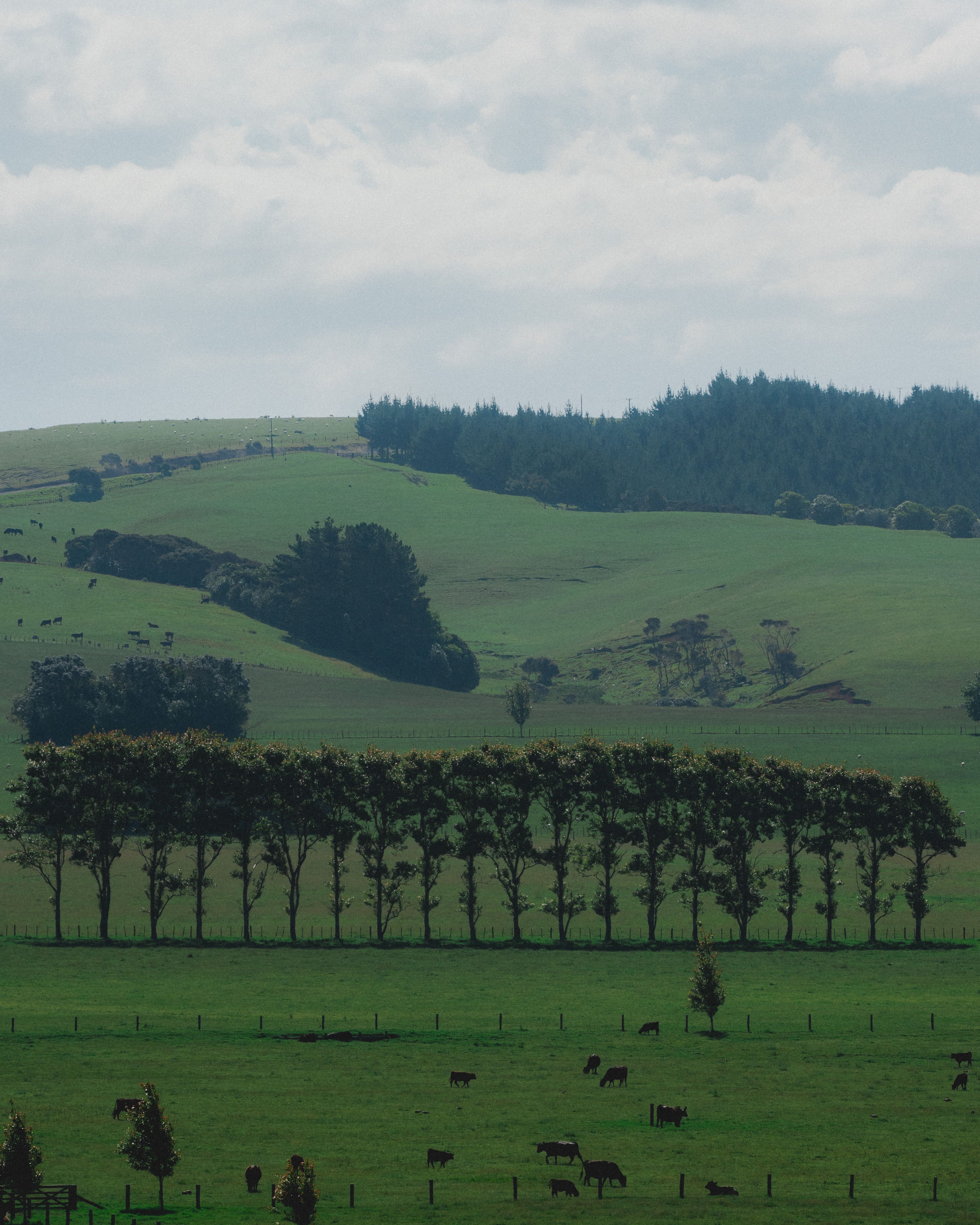 Kimbolton, Manawatū-Whanganui