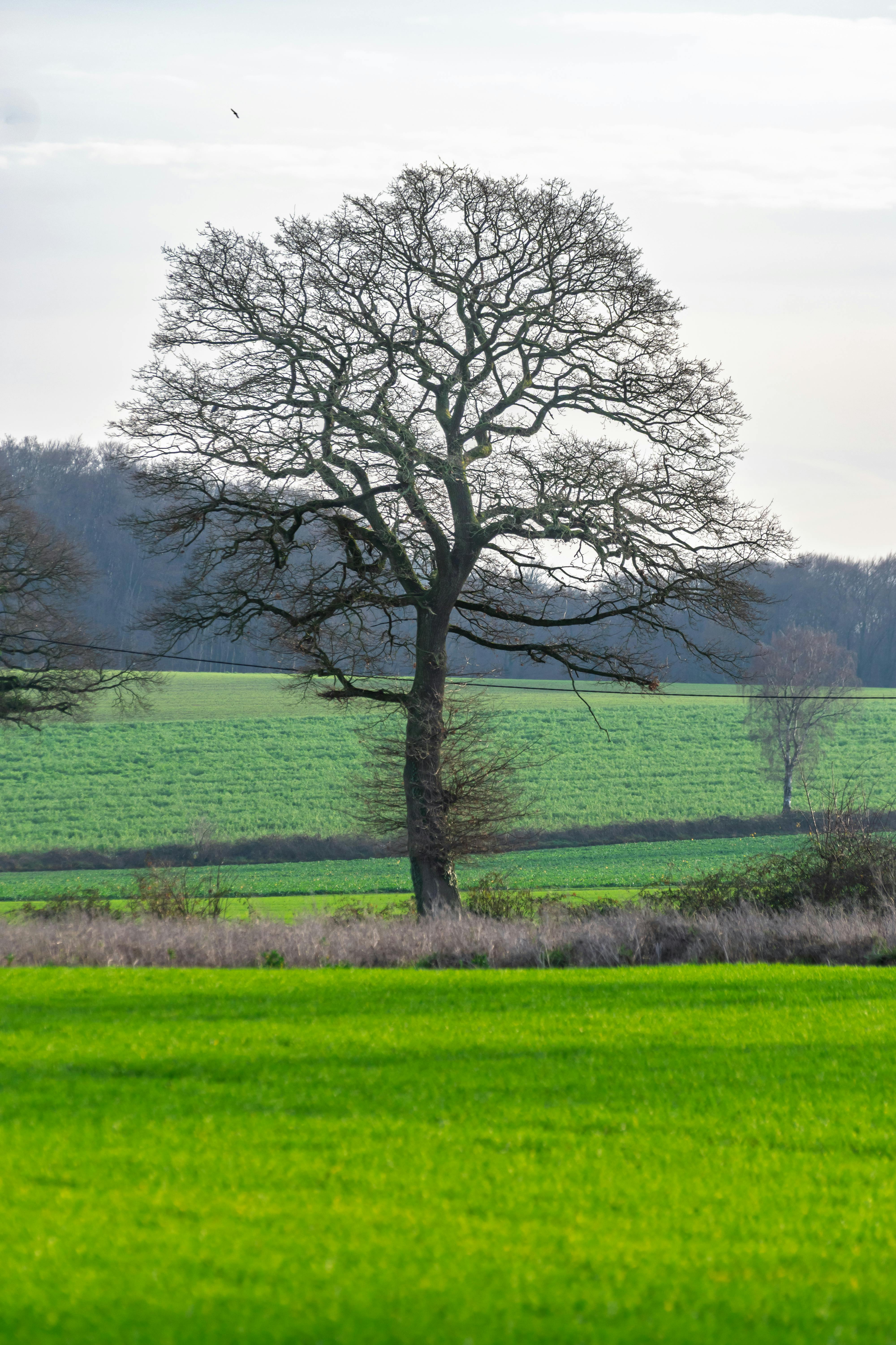 Dealing With Loneliness
