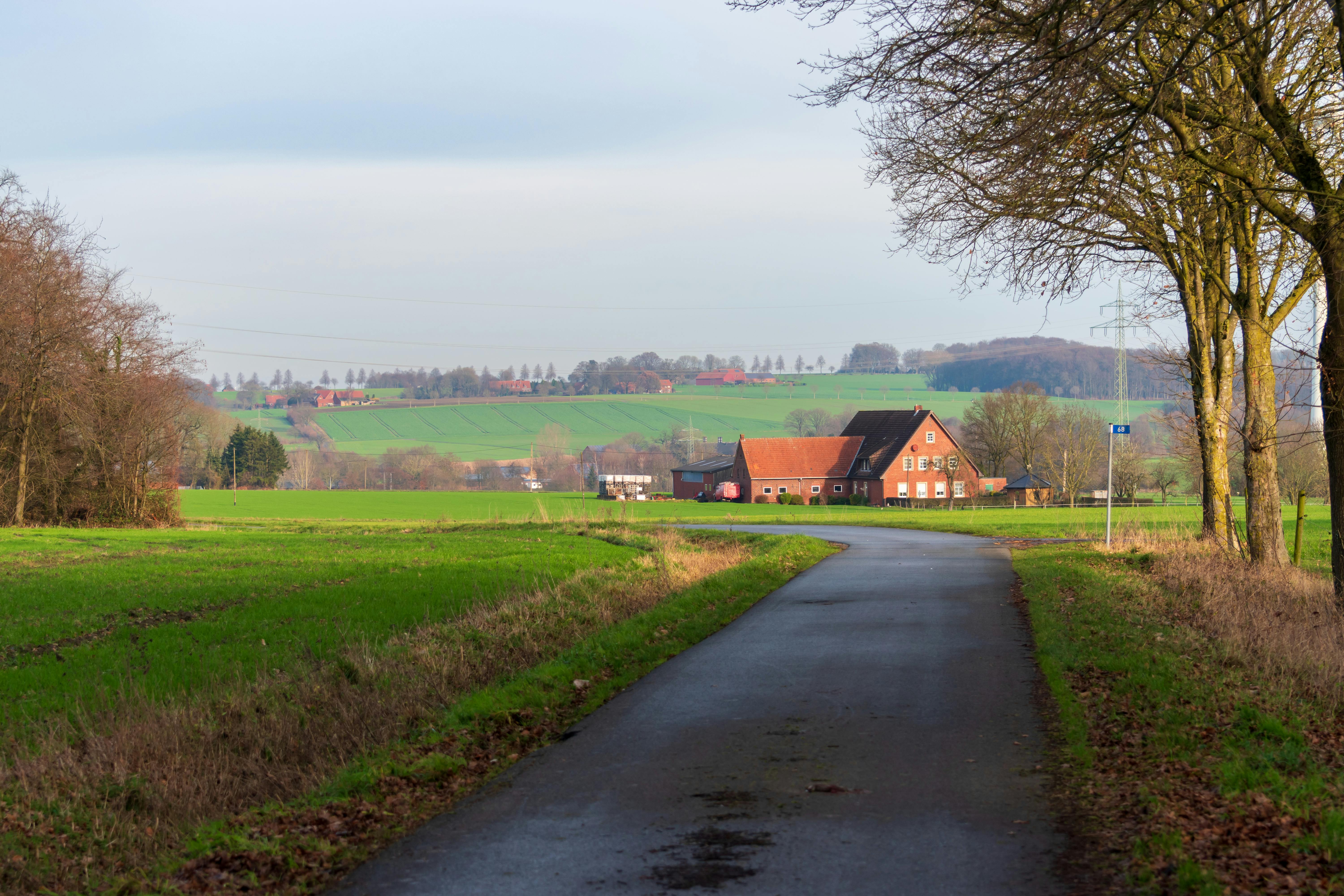 Rural healthcare access challenges in Sumter County - WIS News 10 — Photo by Sergej 📸 on Pexels