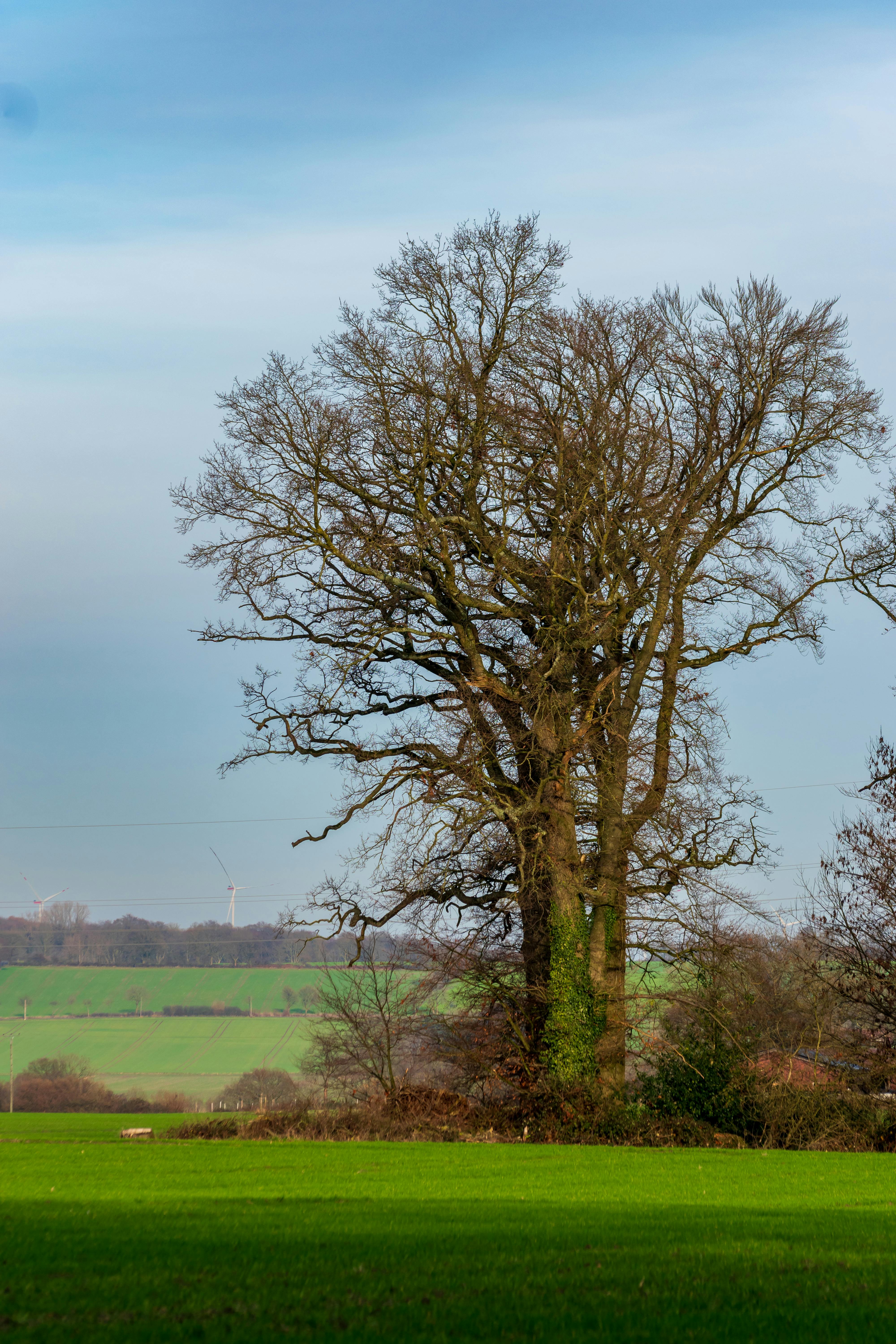 자주 묻는 질문(FAQ) - 제주항공 취소 수수료
