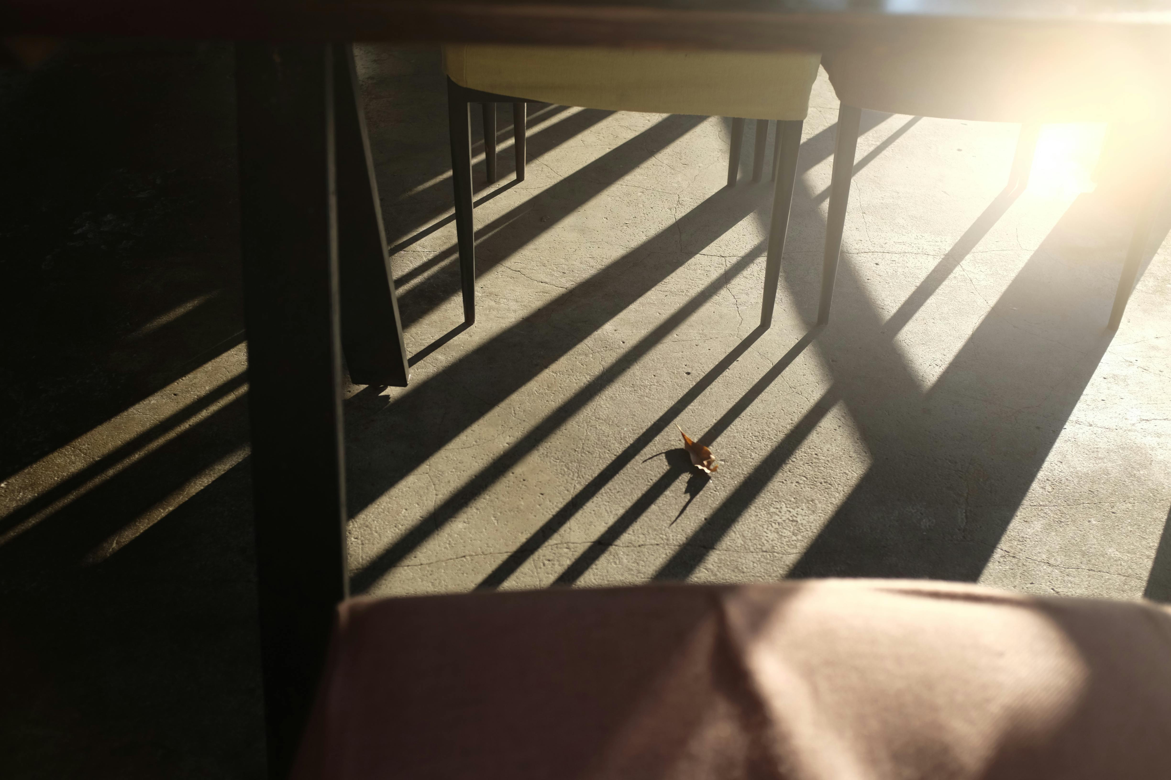 Chairs casting long shadows on a sunlit floor with a solitary leaf.