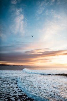 Peaceful ocean scene with waves under a colorful sunrise sky, featuring clouds and seagulls.