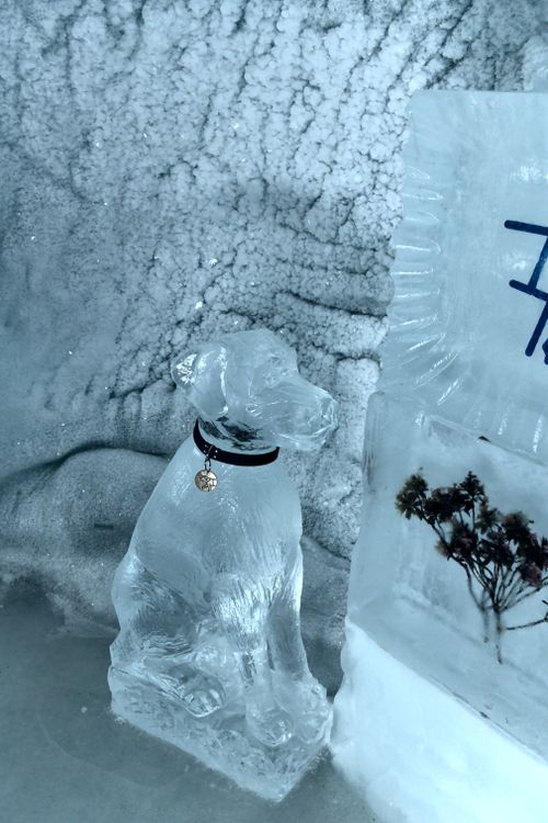 Free Intricate ice sculpture of a dog with a collar inside a snowy cave setting. Stock Photo