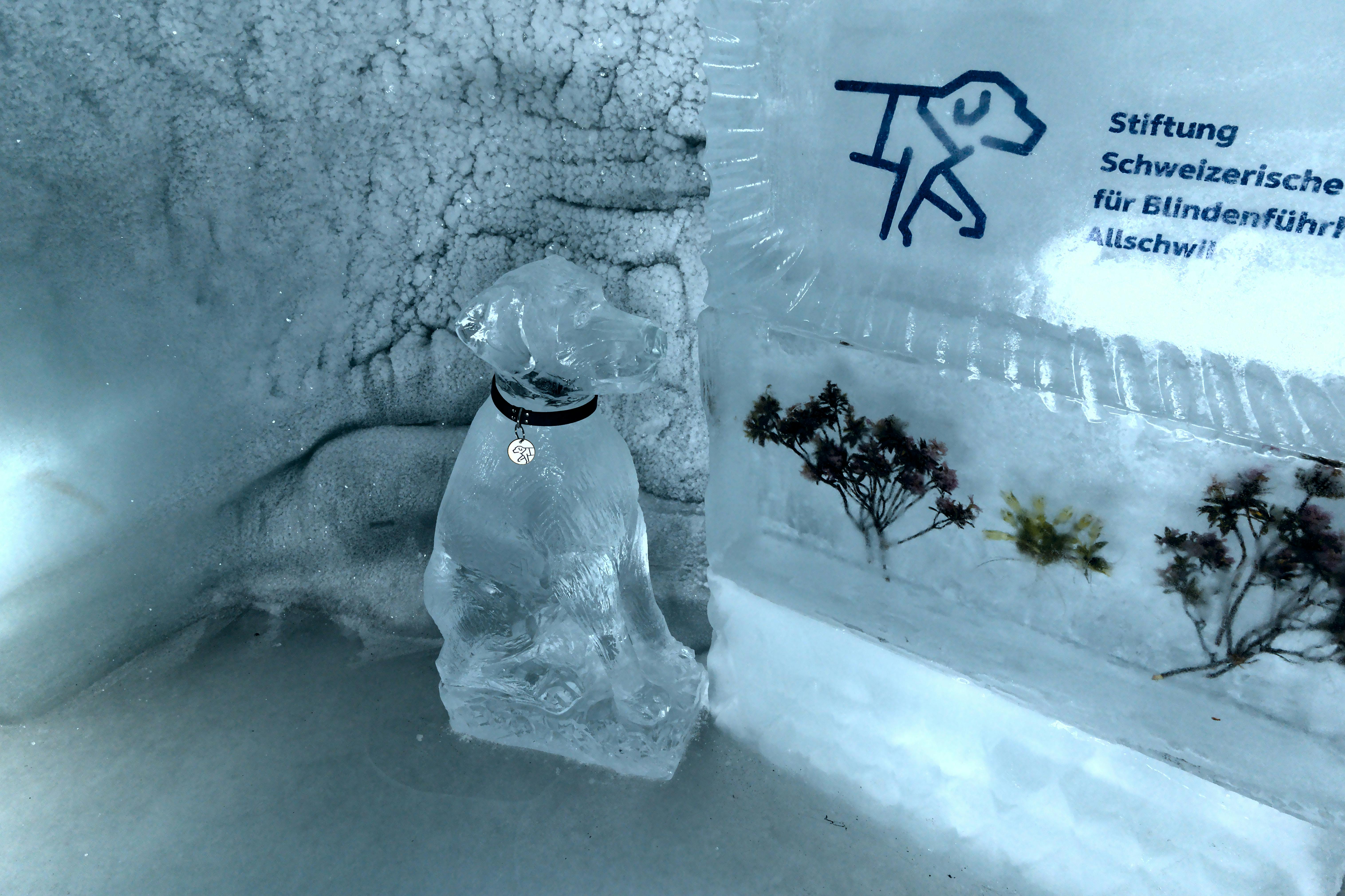 Ice sculpture of a dog with sign at Jungfraujoch, featuring delicate ice details.