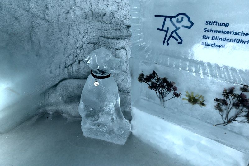 Sculptură de gheață în Palatul de Gheață de la Jungfraujoch