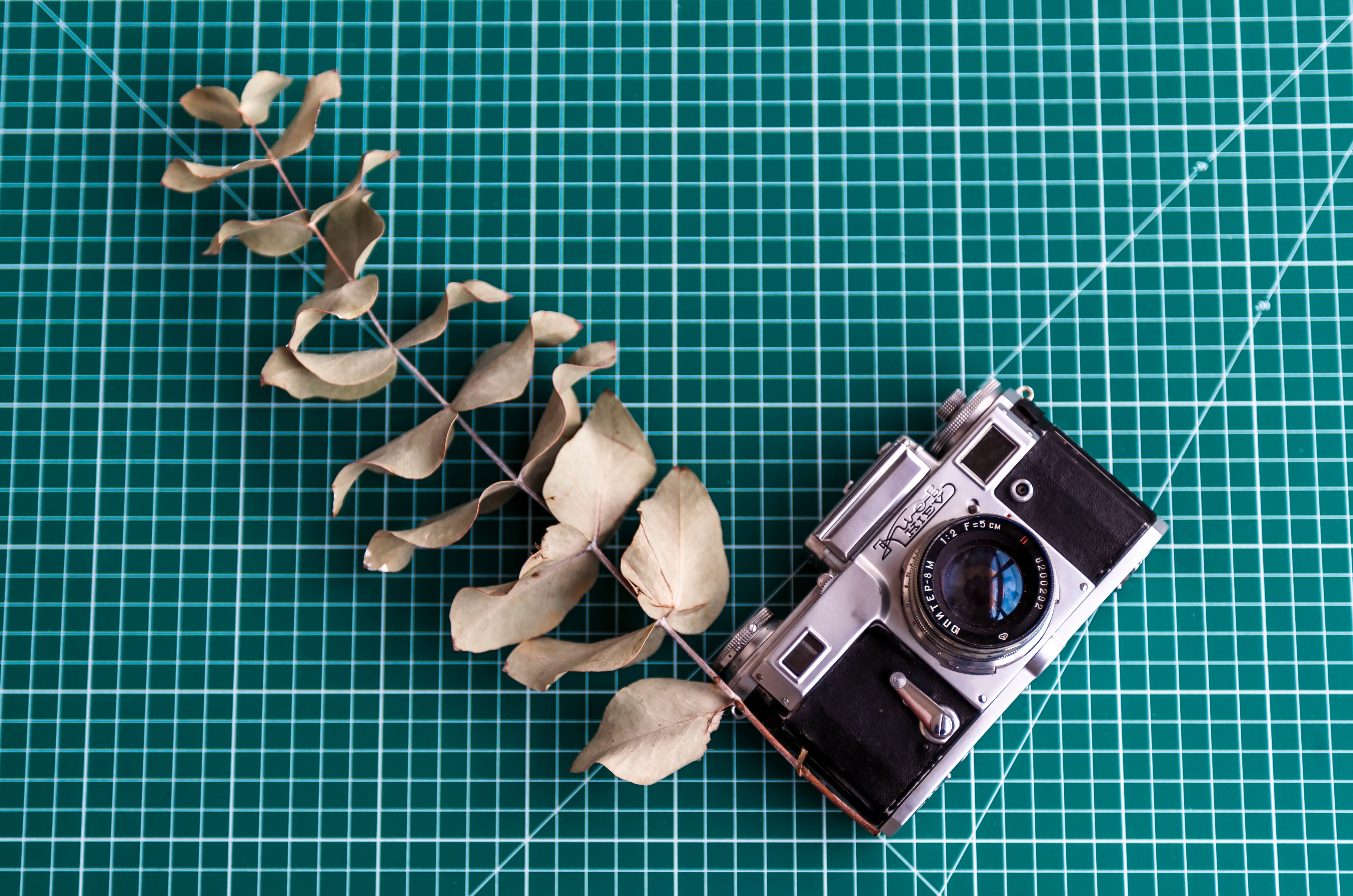 How to Find Creative Photography Inspiration in 7 Steps — Photo by Alexander Zvir on Pexels