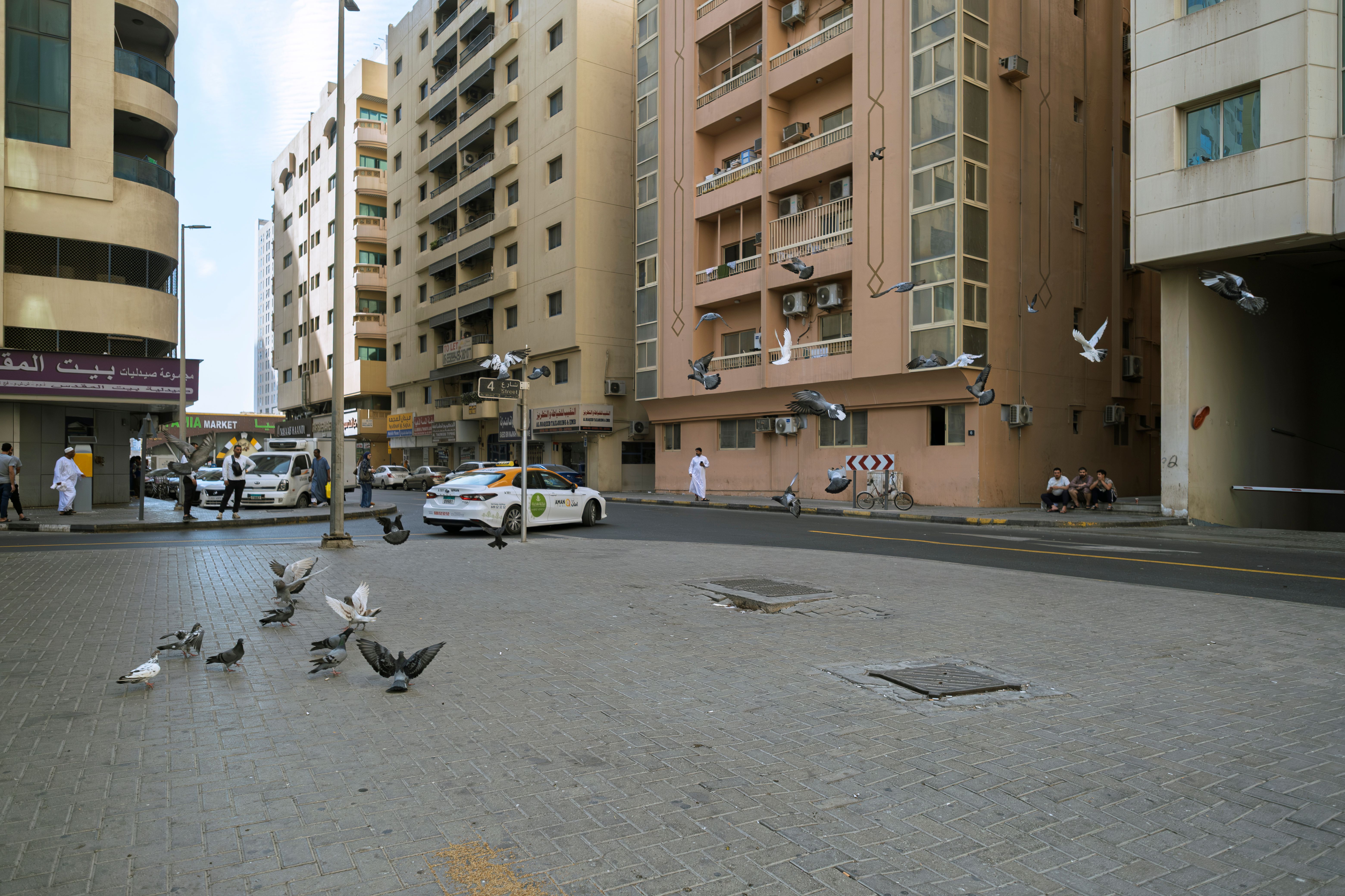 Pigeons flying on a busy street in Sharjah, UAE, with people and buildings.