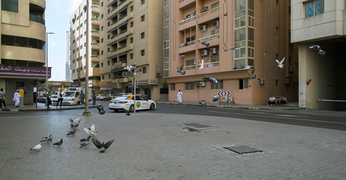 Pigeons flying on a busy street in Sharjah, UAE, with people and buildings.