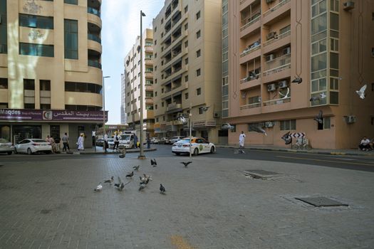 Urban street scene with pigeons and buildings in Sharjah, UAE.