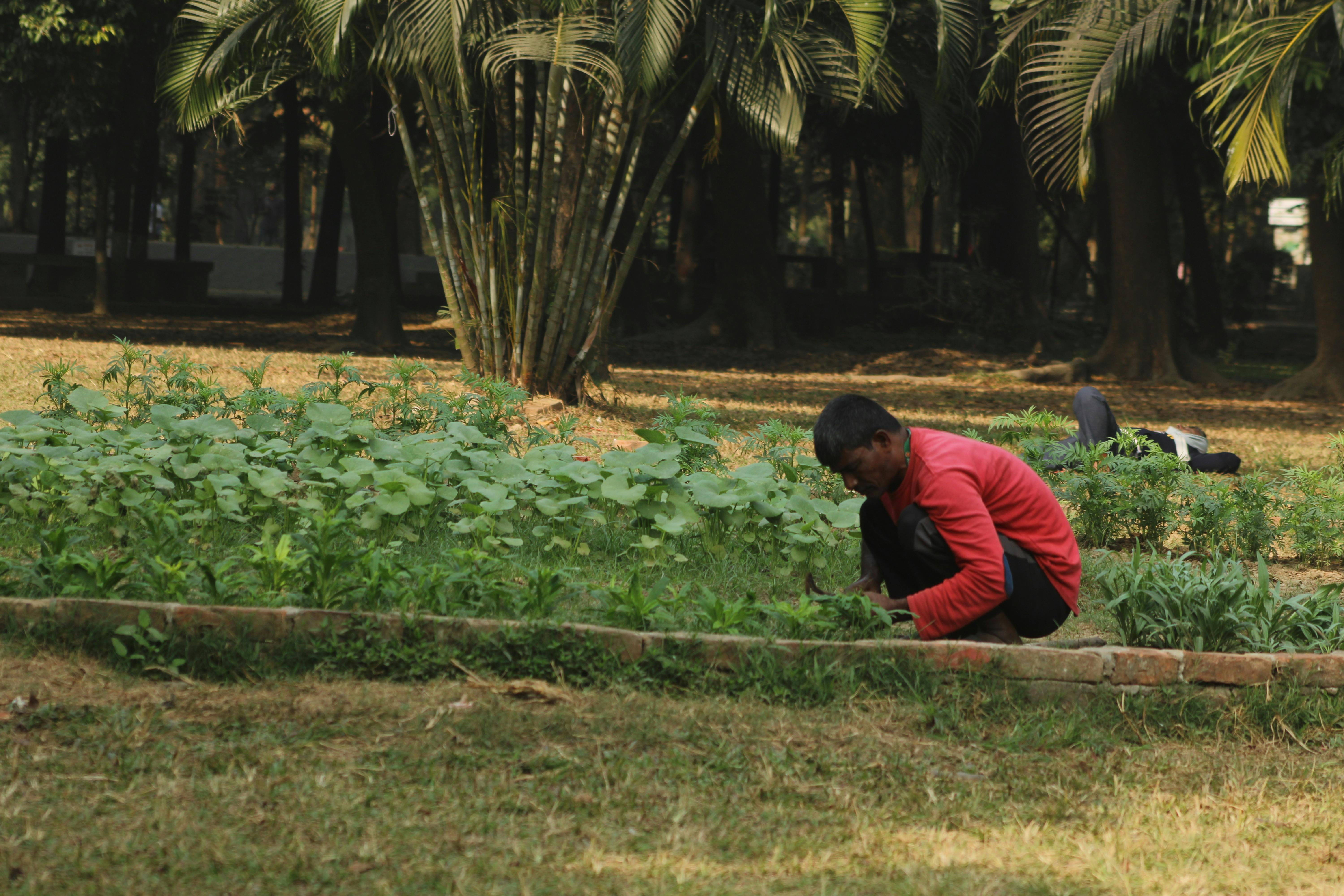 Surprising Benefits of Incorporating Sustainable Materials in Projects