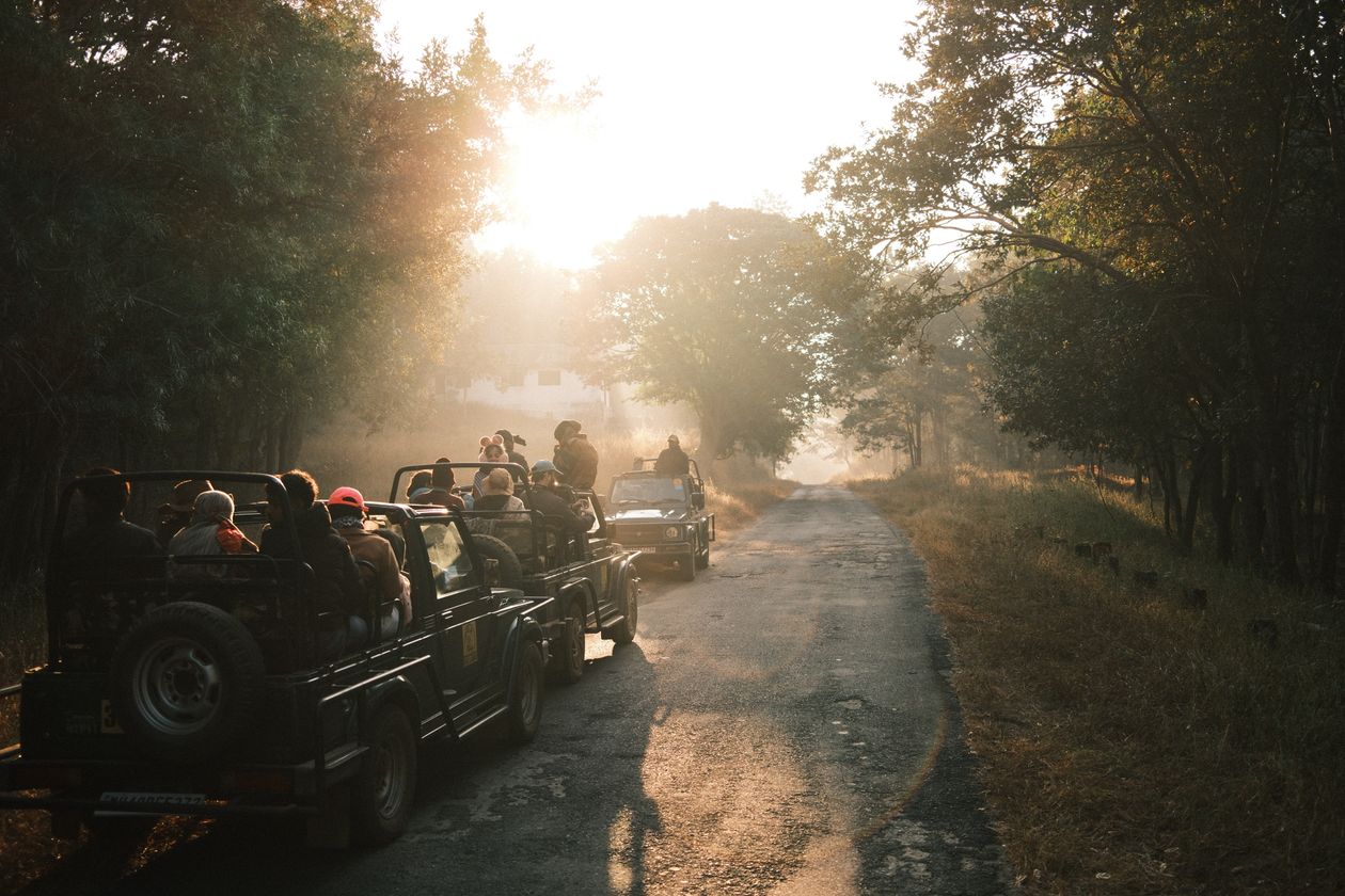 Full Day Safari