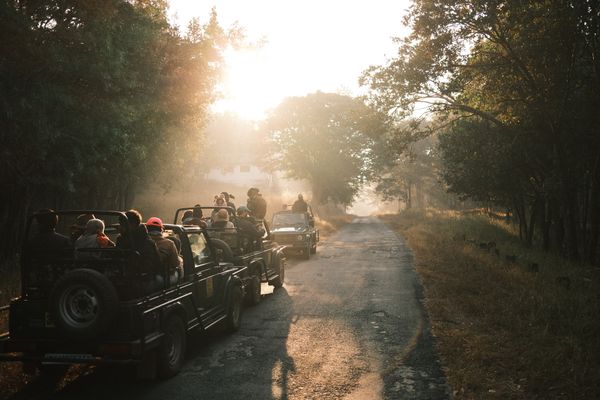 Sunrise safari — the best way to start a day in Sri Lanka!