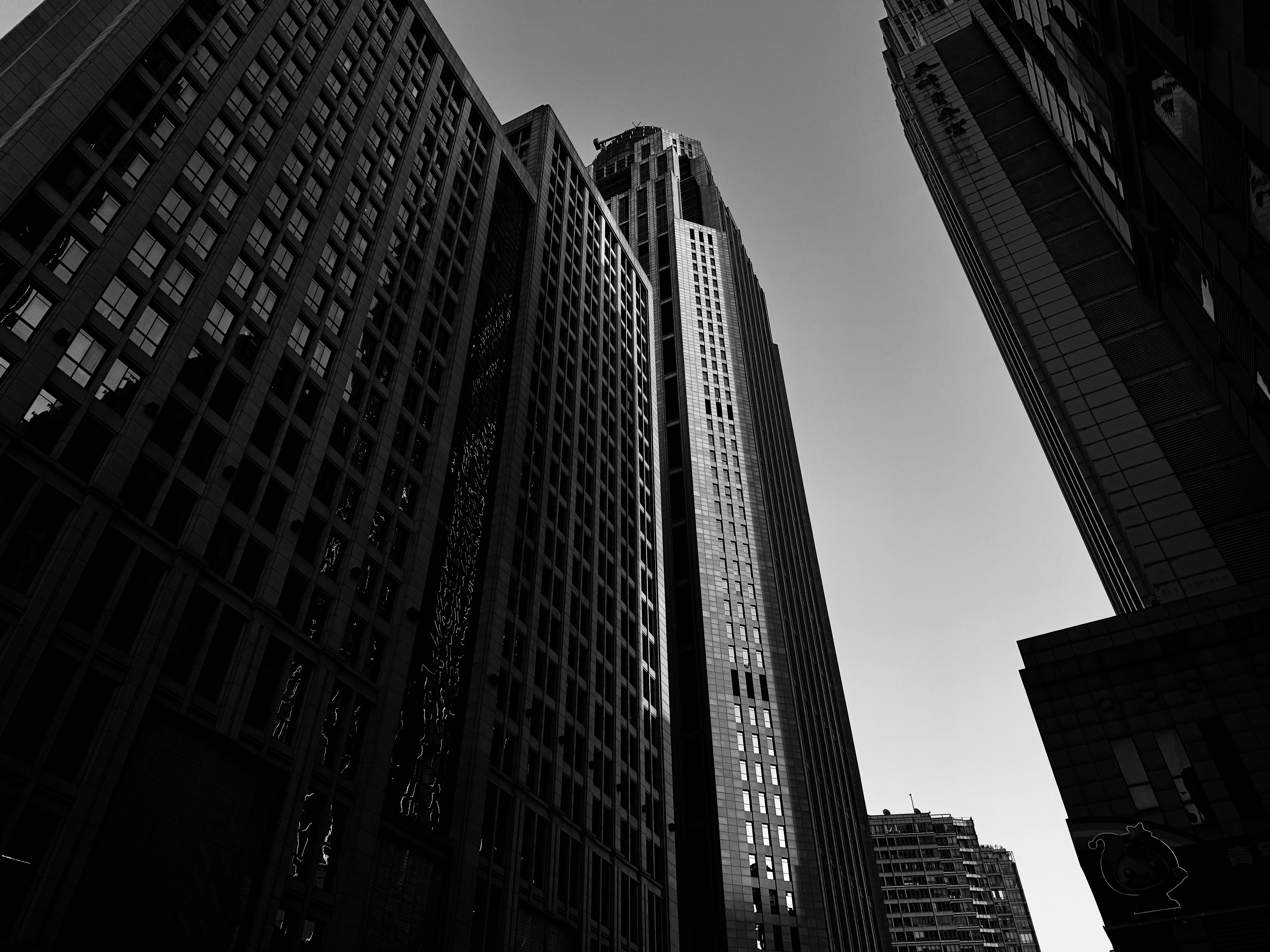 Dramatic Black and White Cityscape of Skyscrapers · Free Stock Photo