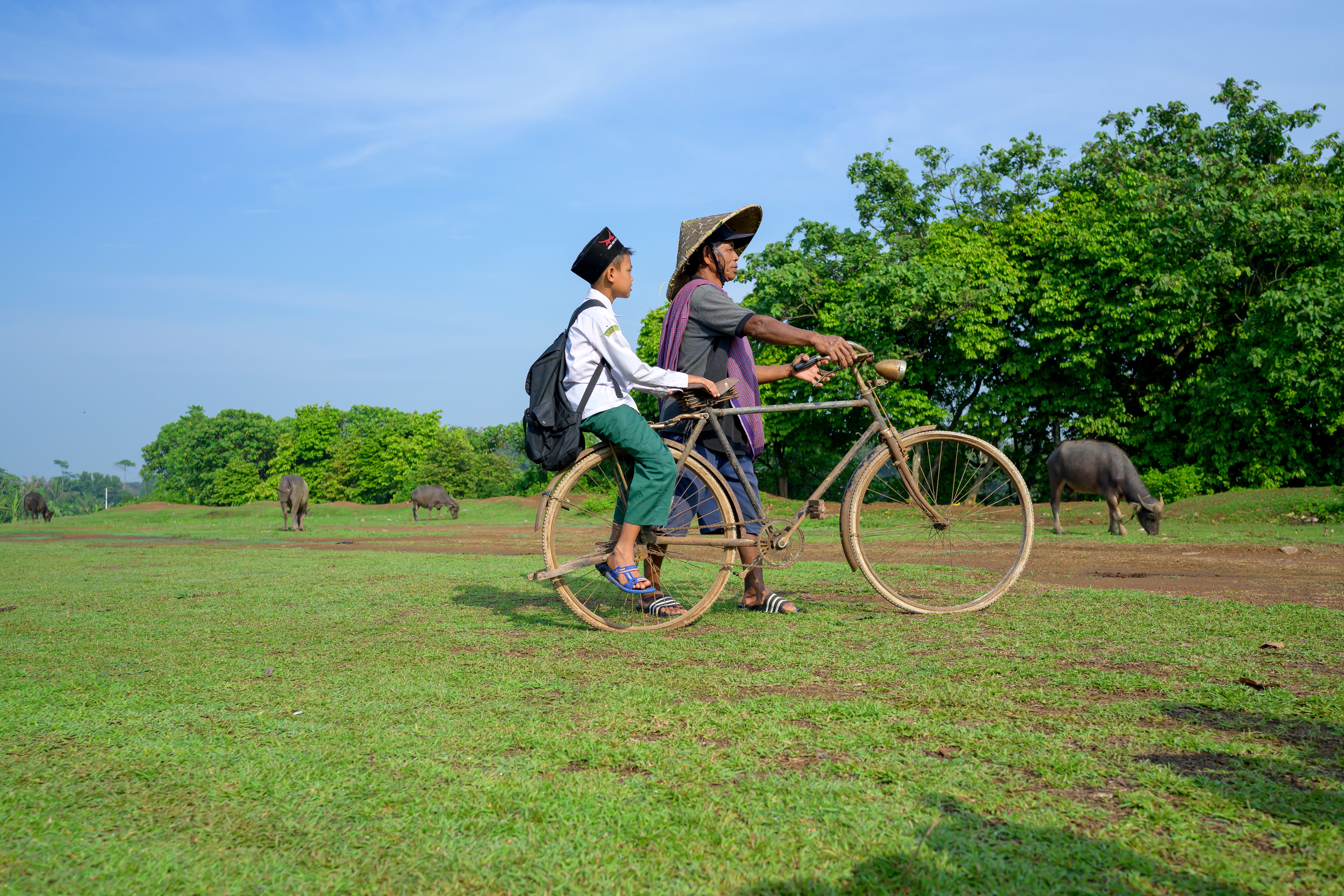 Father and Son Cycling in Rural Landscape
