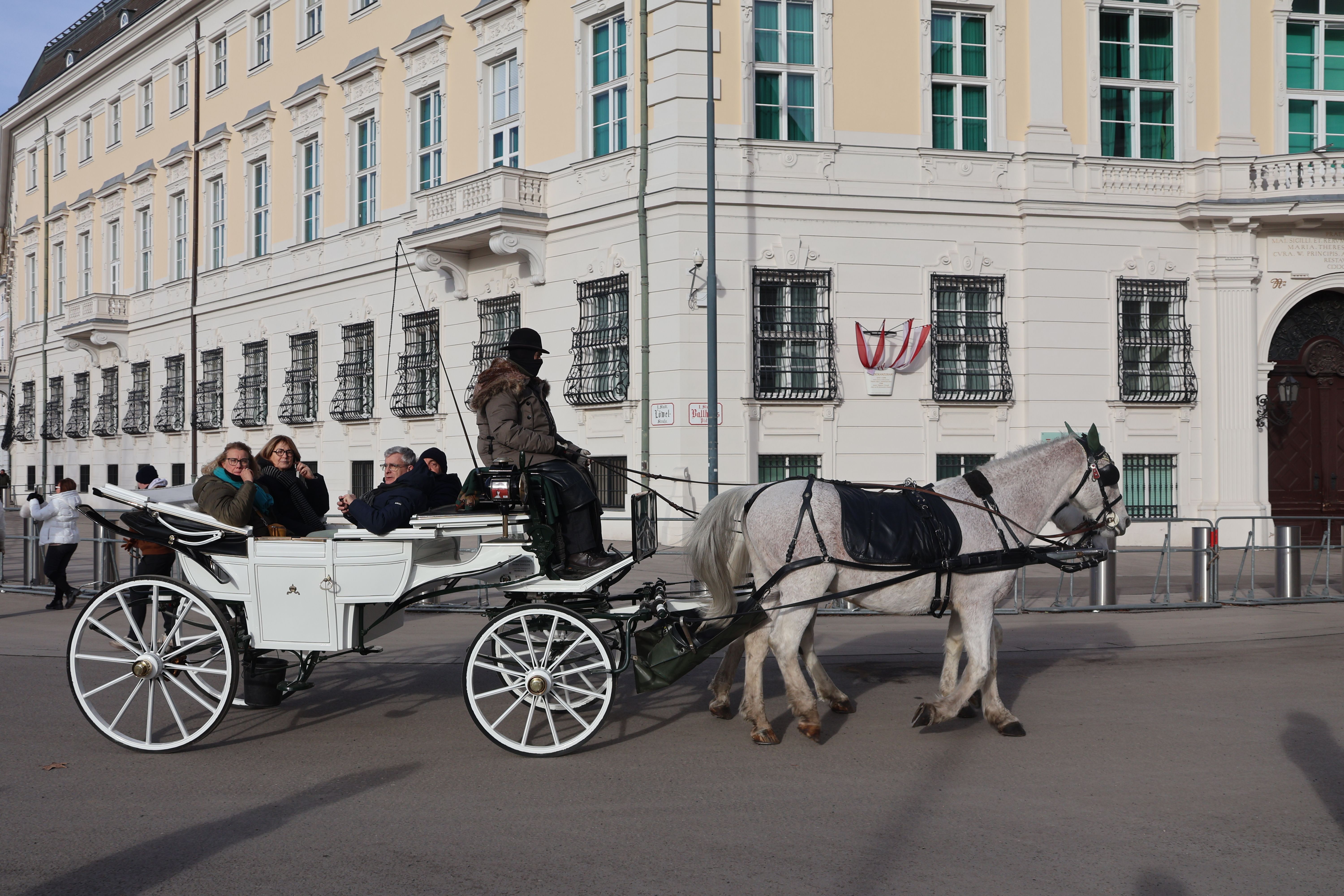 Horse-Drawn Carriage Ride in Vienna's Historic District · Free Stock Photo