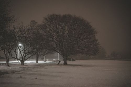 Free Snowy dawn at Stamford's Cove Island Park captures serene winter beauty under dim streetlights. Stock Photo