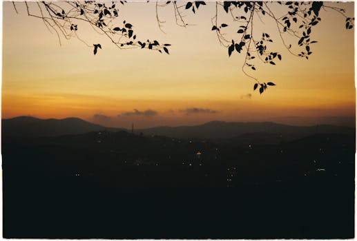 Peaceful sunset with silhouetted trees and mountains under an orange sky.
