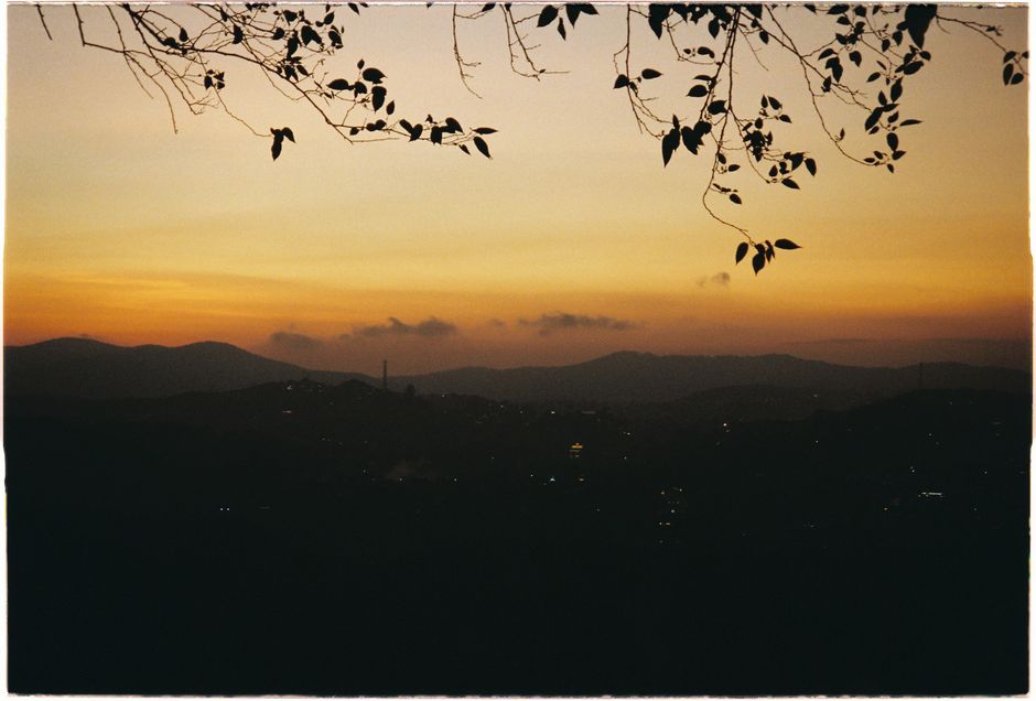 Peaceful sunset with silhouetted trees and mountains under an orange sky.